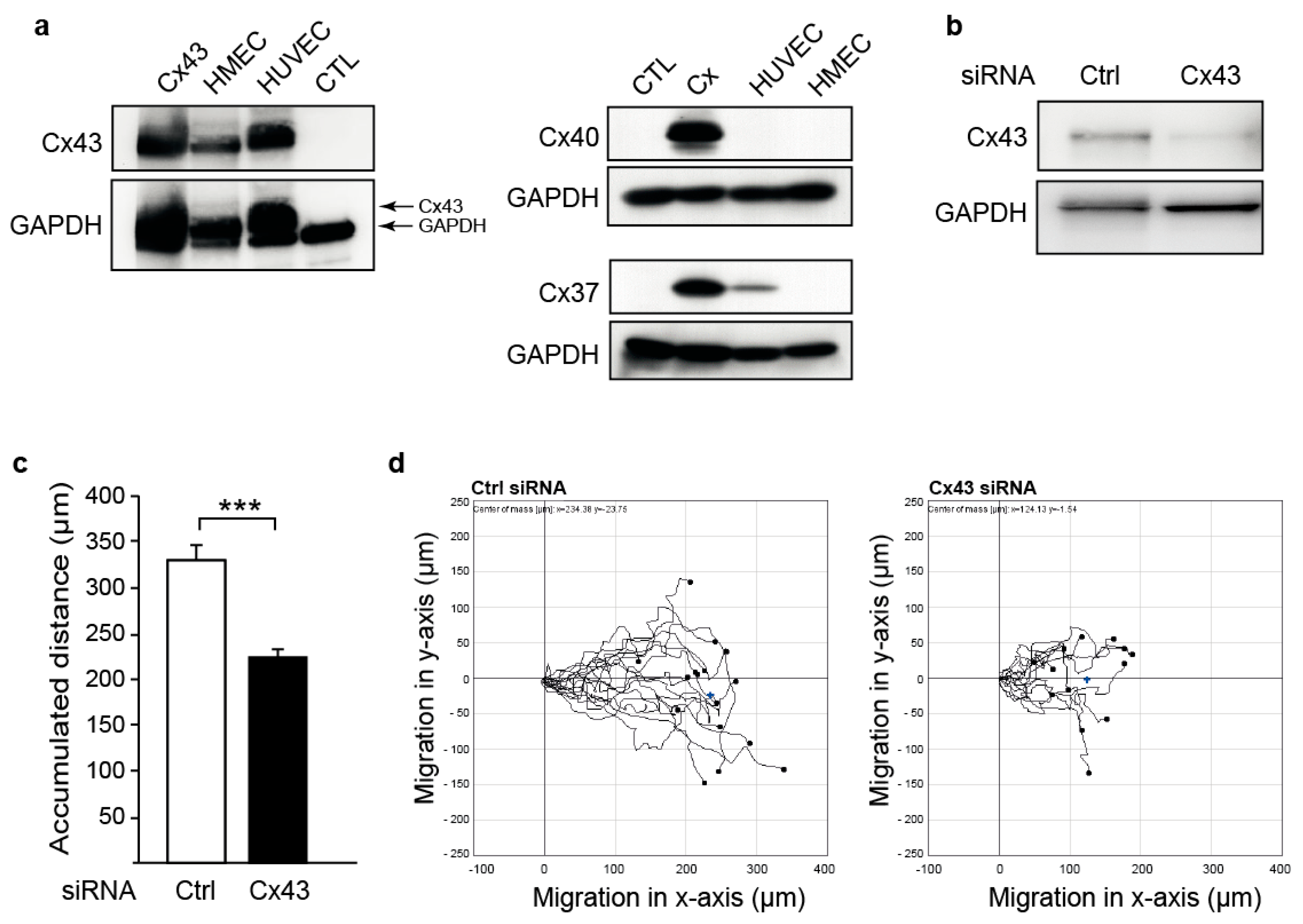 Ijms 23 00294 g001 550