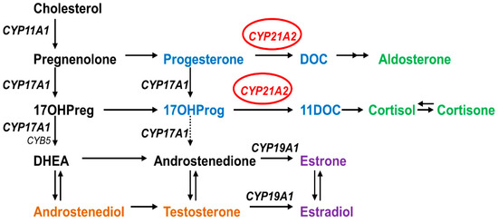 バナジ－・プロトコル Virus Mimetic Framework DNA as a Non-LNP Gene Carrier for