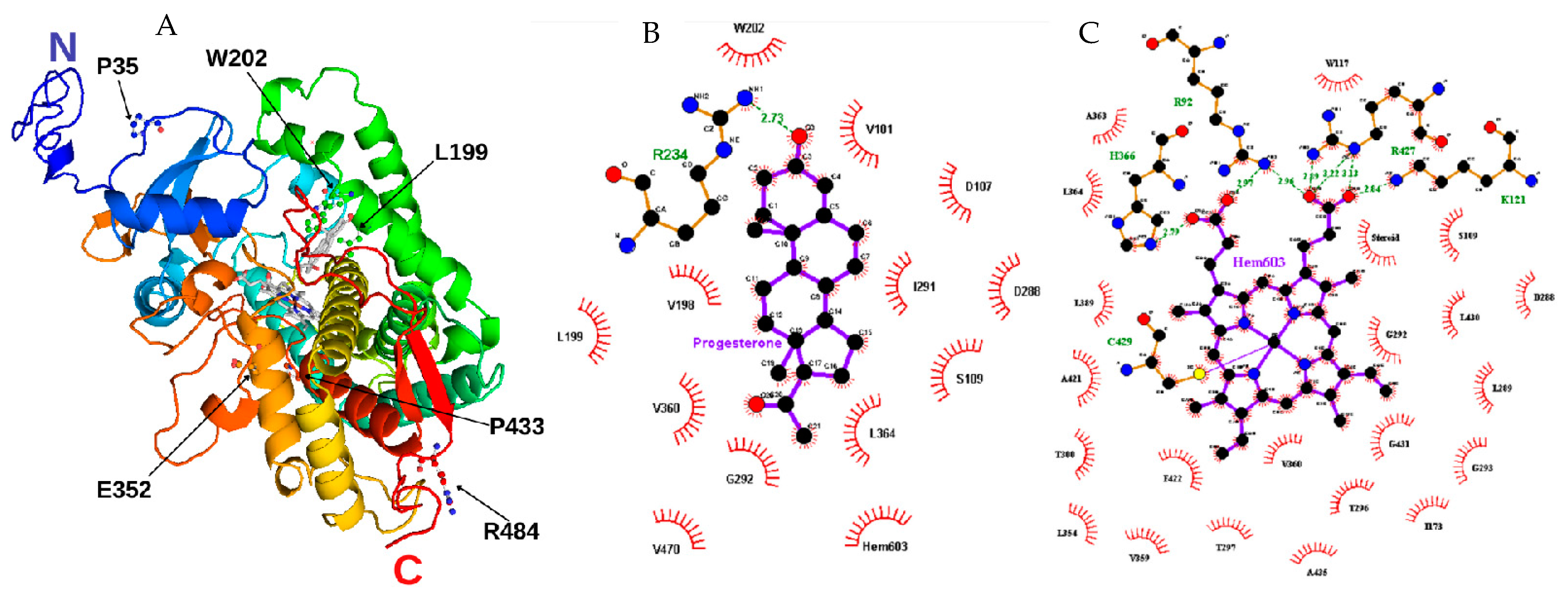 バナジ－・プロトコル Virus Mimetic Framework DNA as a Non-LNP Gene Carrier for