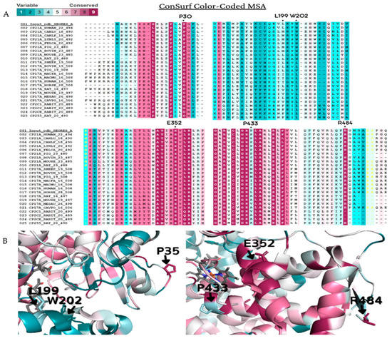 Characterization of Mutations Causing CYP21A2 Deficiency in
