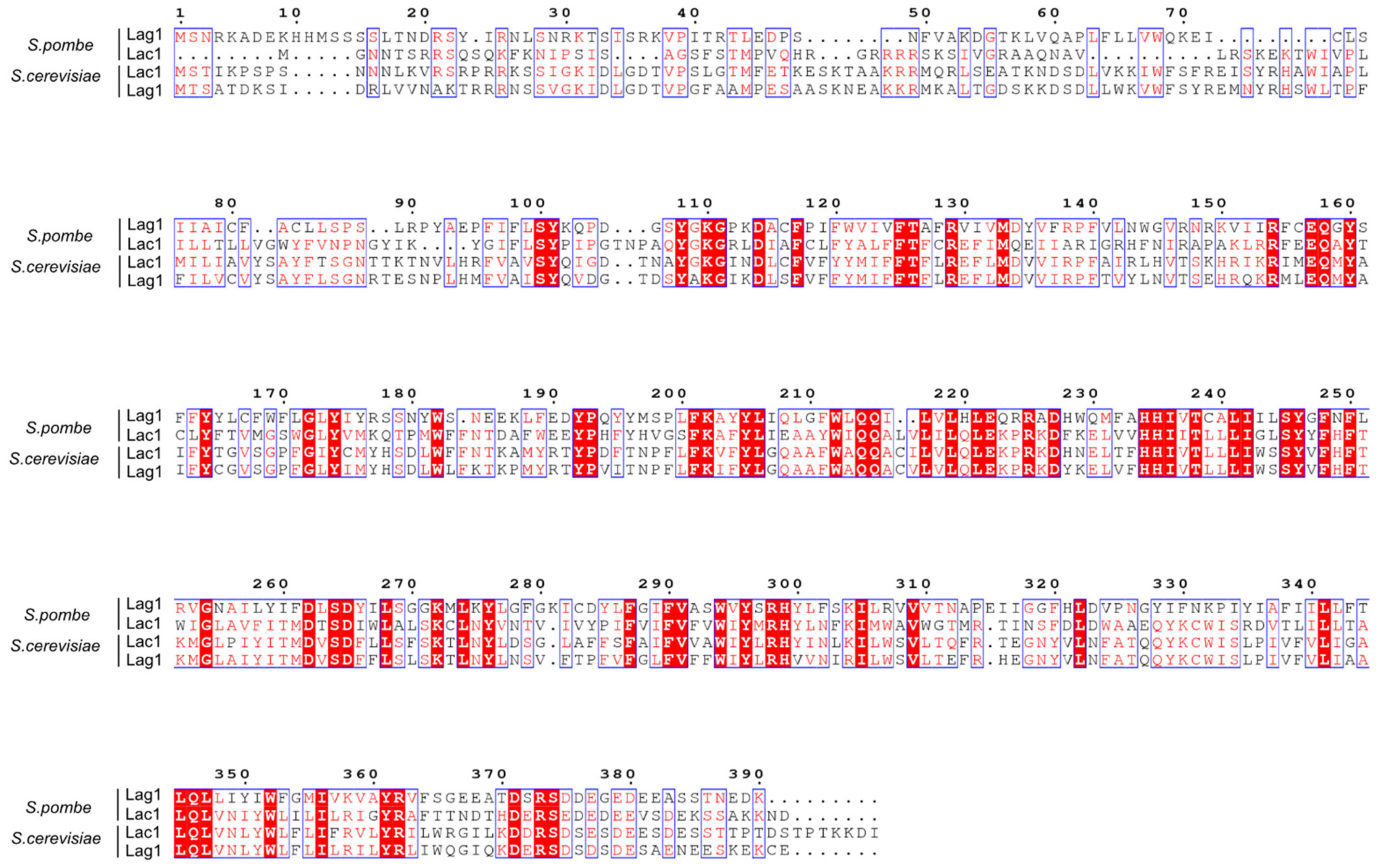 Ijms 23 00303 g001 Ijms 23 00303 g001
