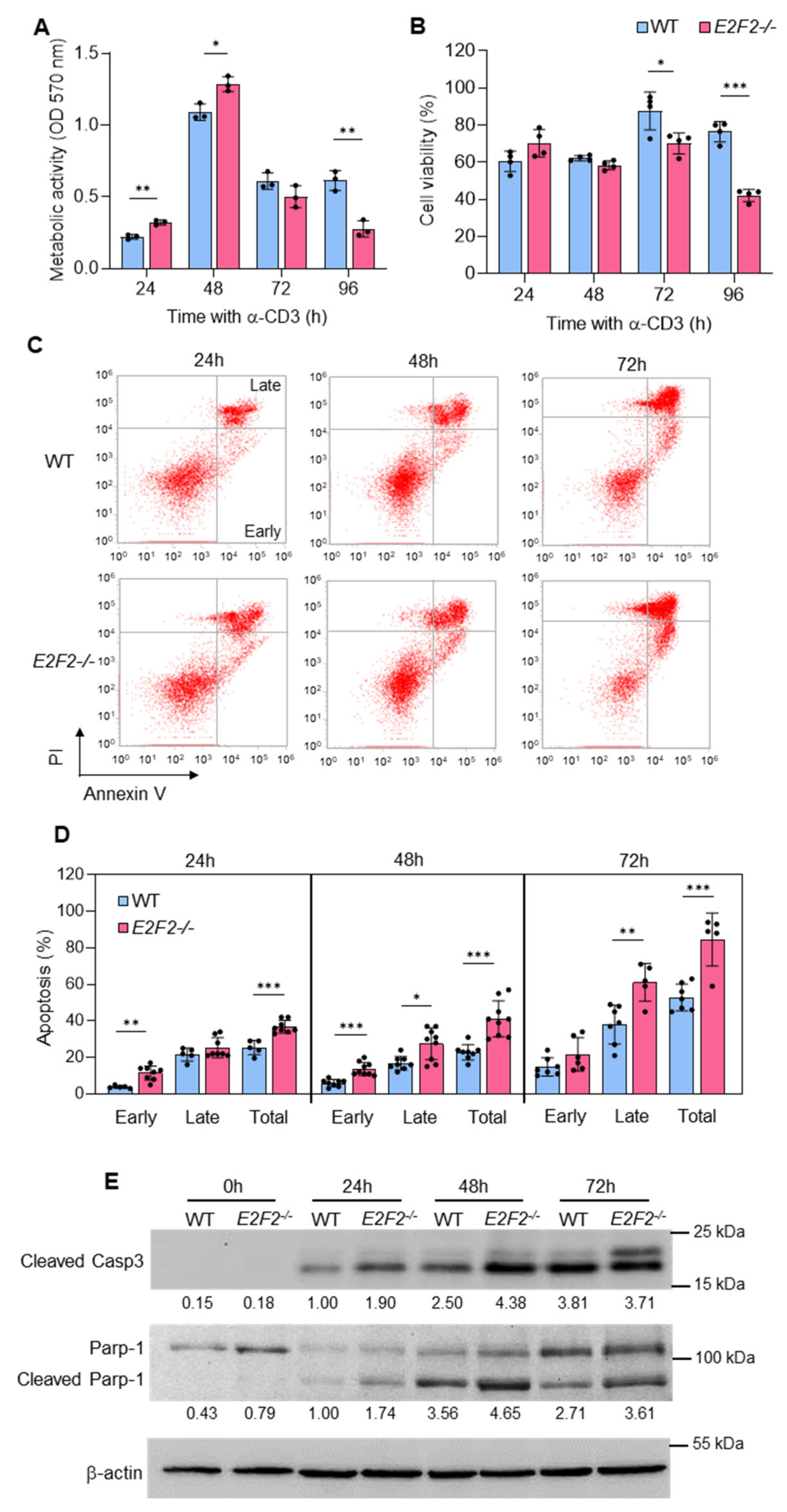 Ijms 23 00311 g001 550