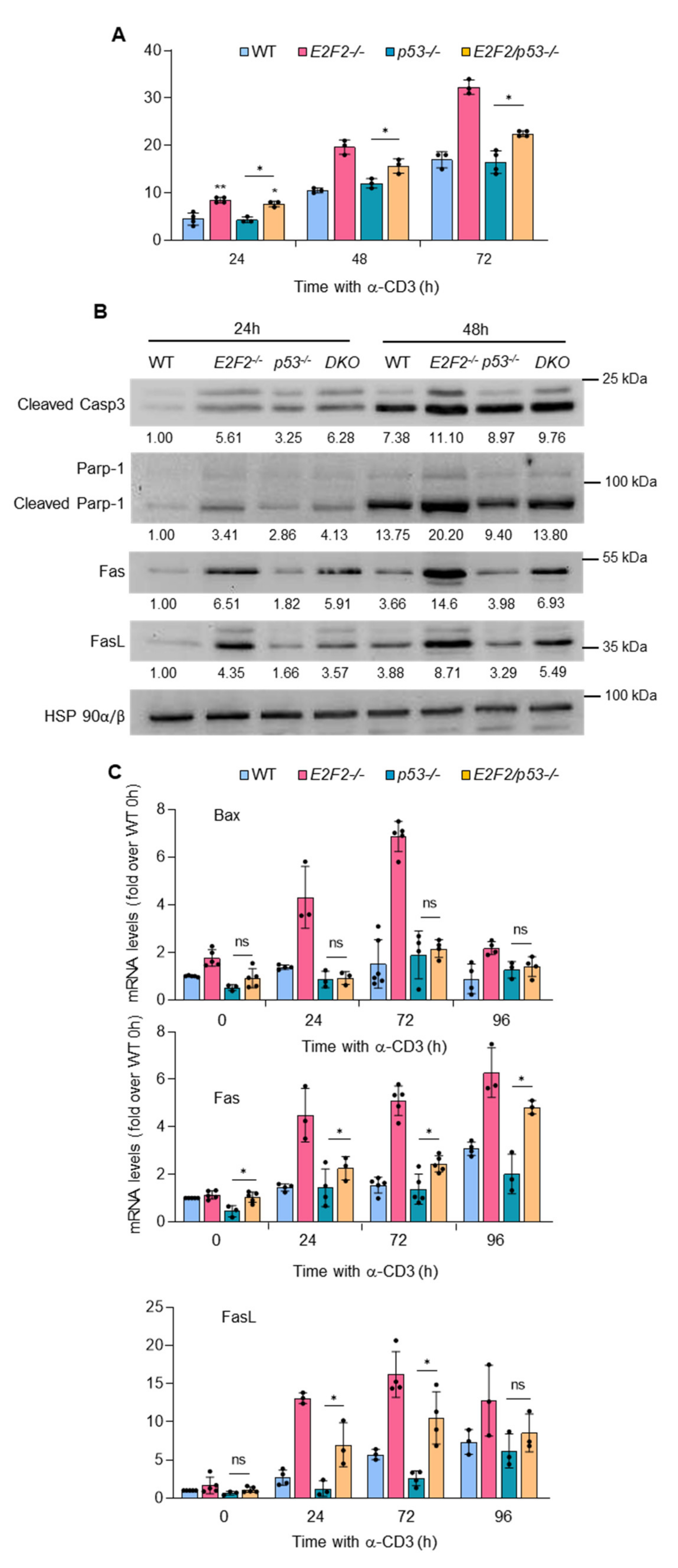 Ijms 23 00311 g004 550