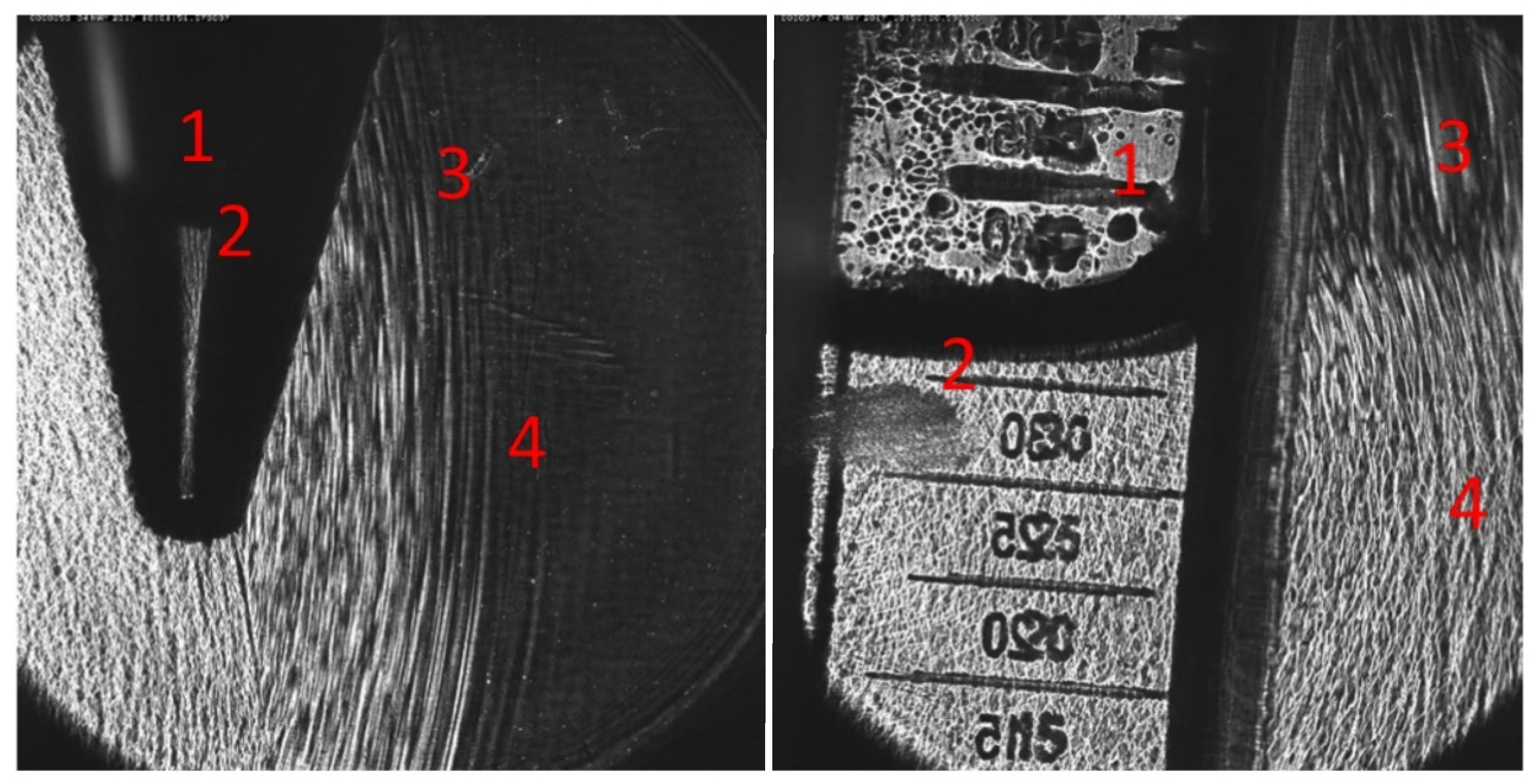 Ijms 23 00313 g004 550