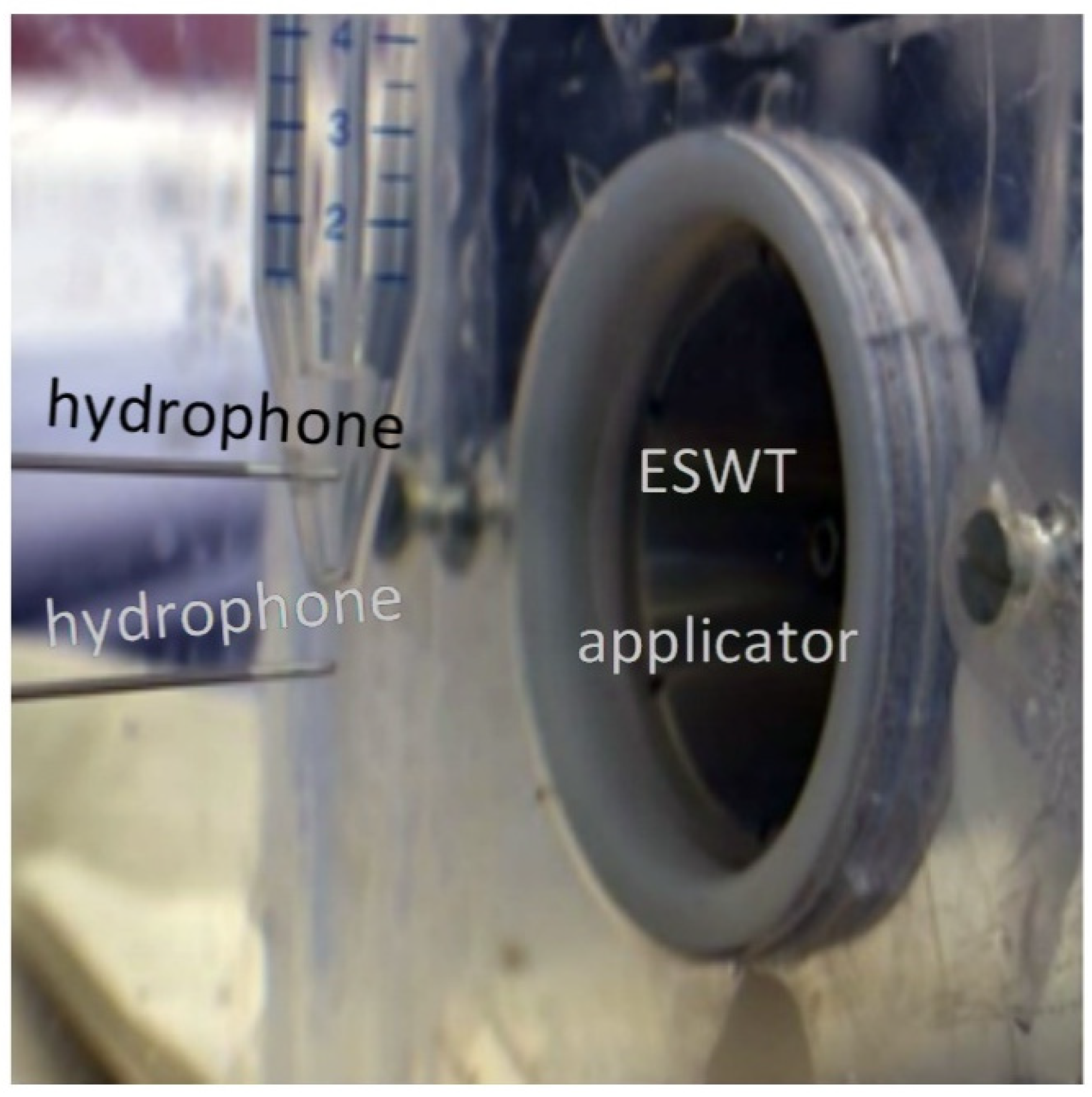 Ijms 23 00313 g005 550