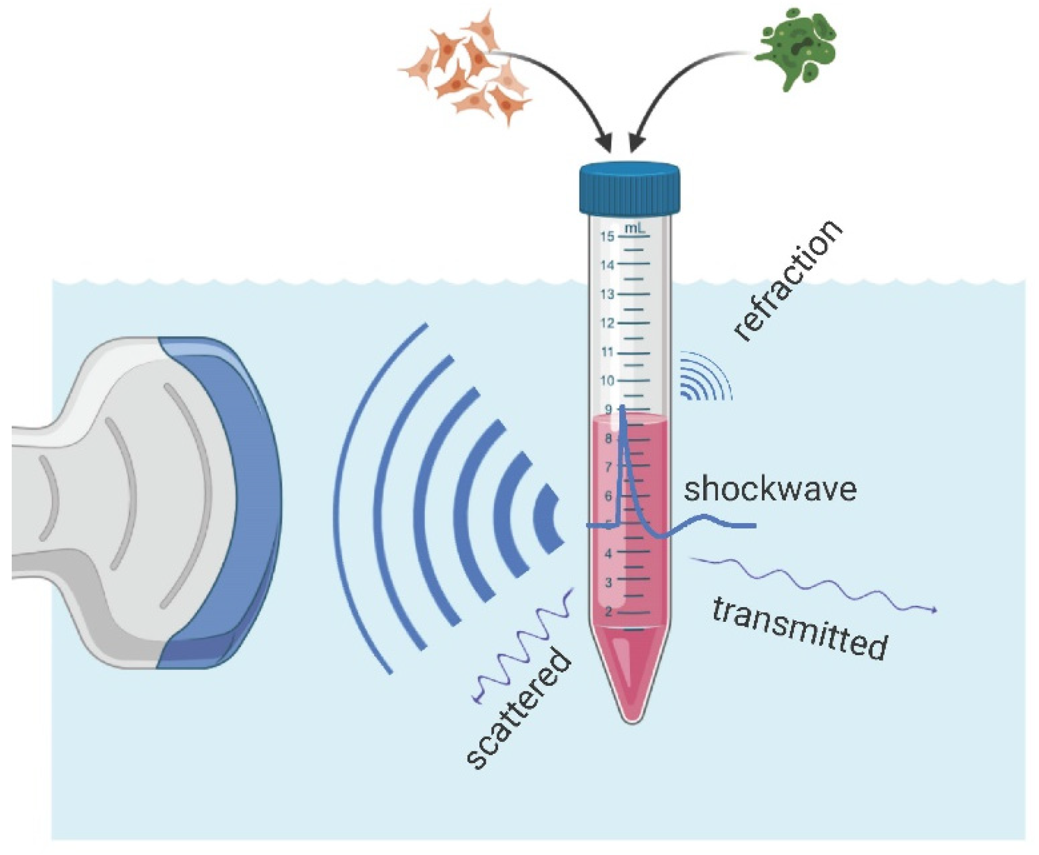 Ijms 23 00313 g010 550