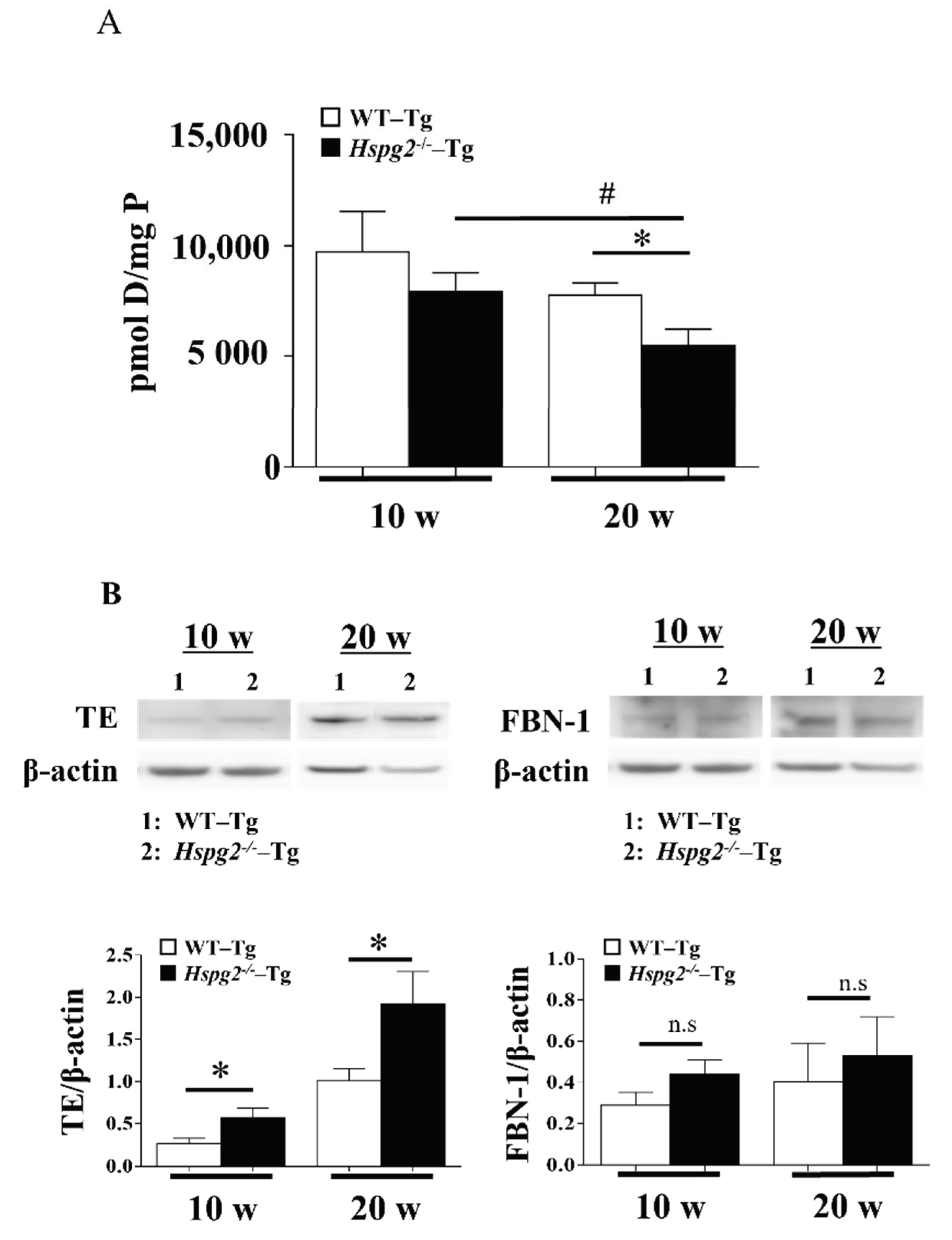 Ijms 23 00315 g008 Ijms 23 00315 g008
