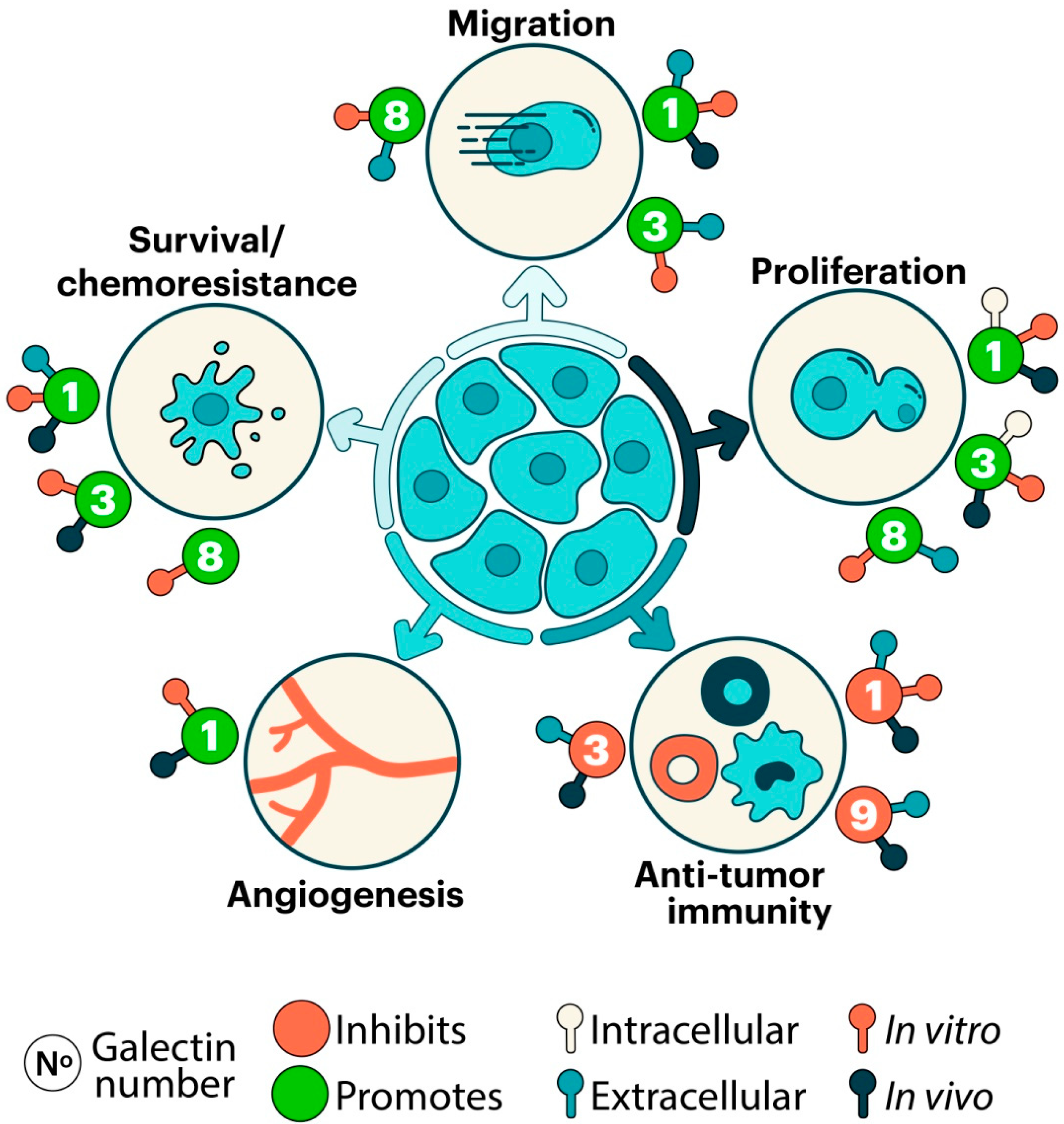 Ijms 23 00316 g002 Ijms 23 00316 g002