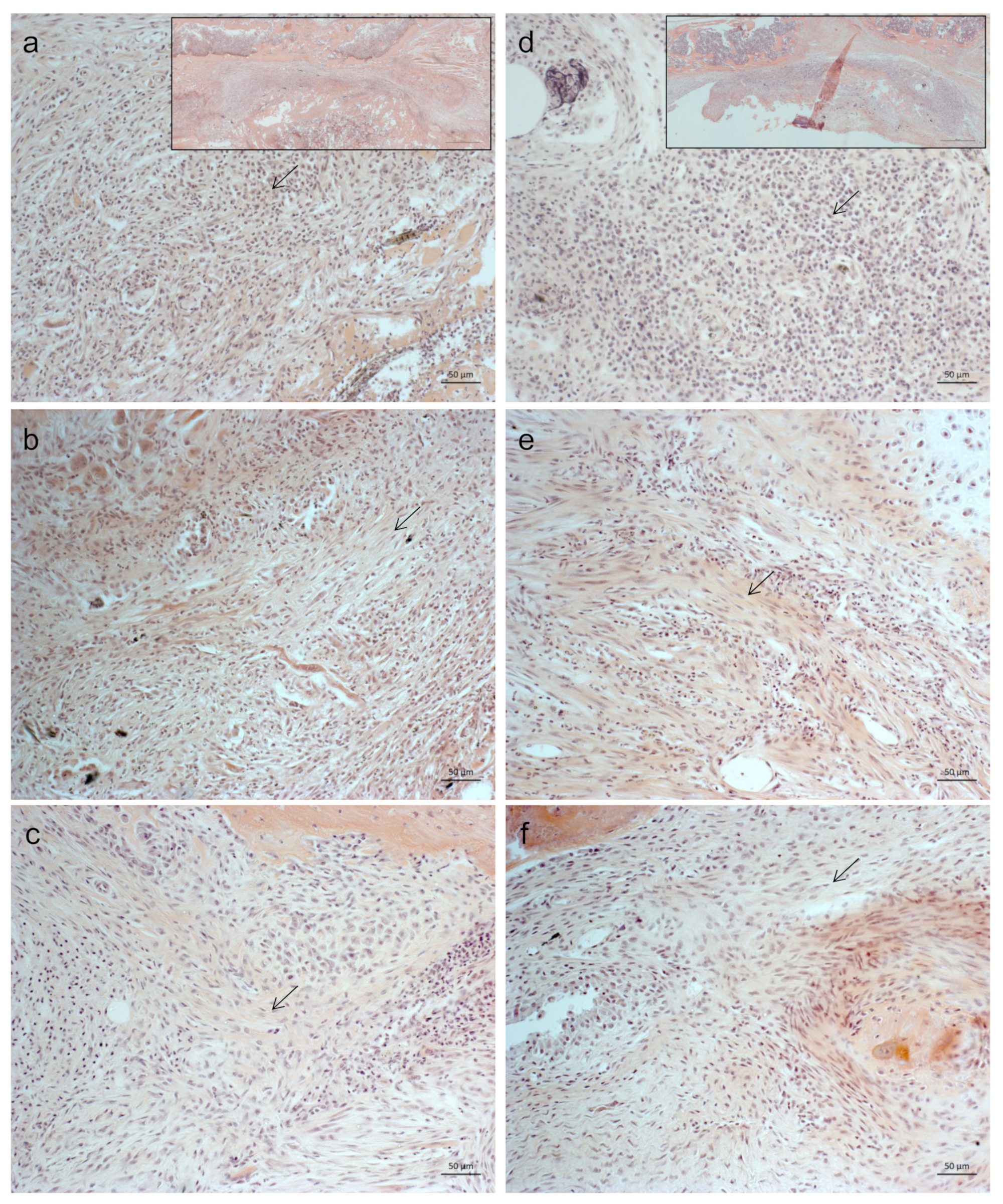 Ijms 23 00323 g002 550