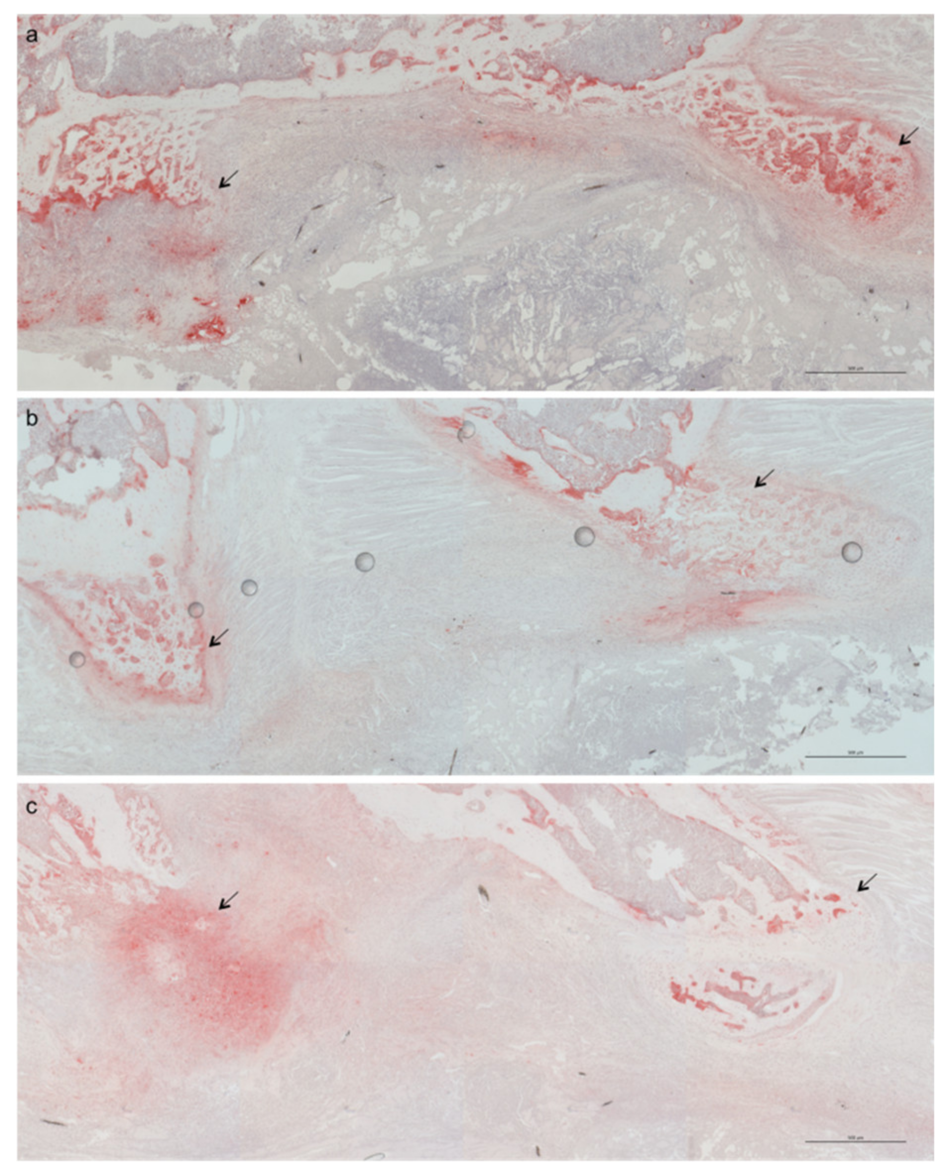 Ijms 23 00323 g003 550