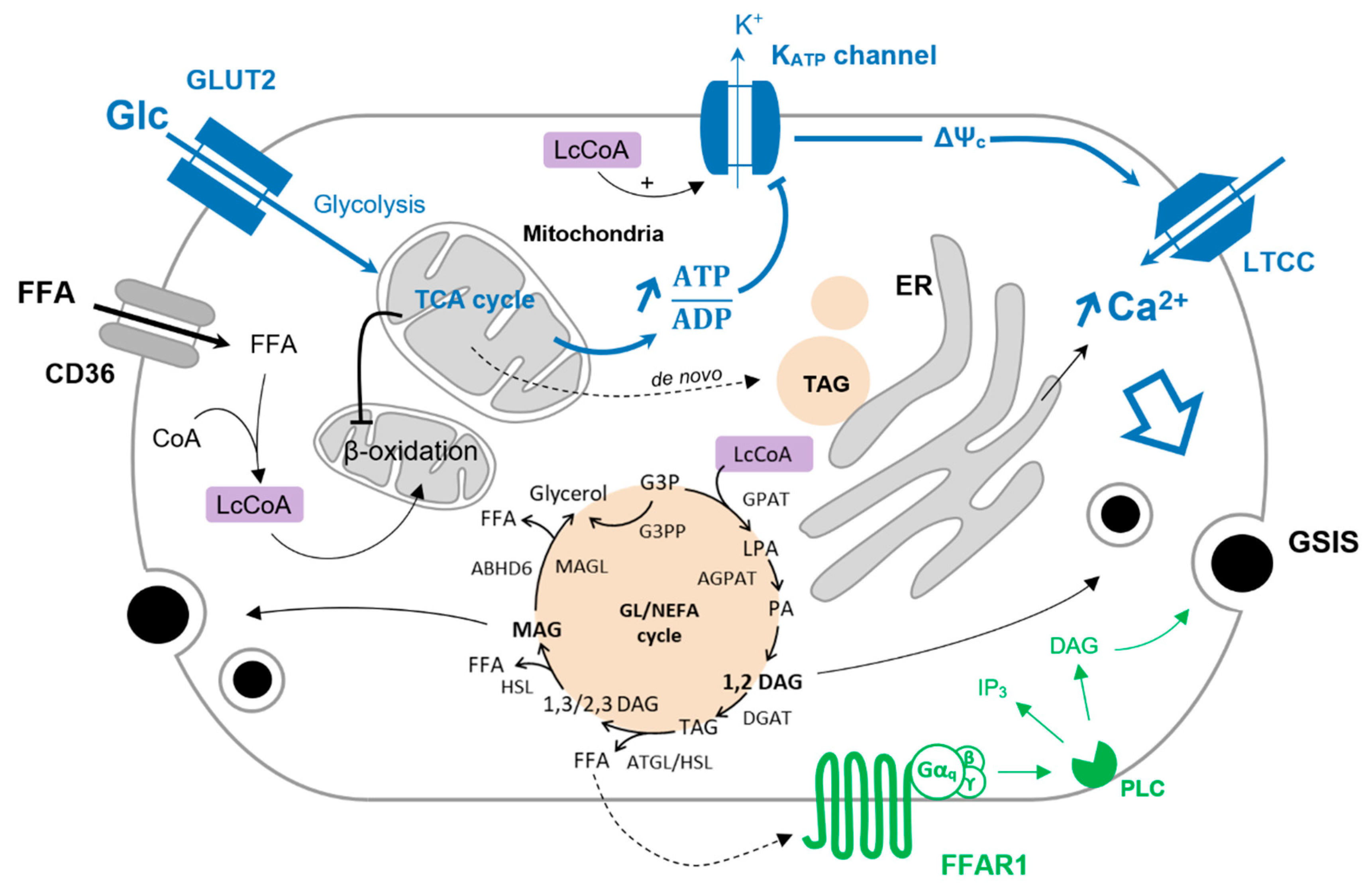 Ijms 23 00324 g001 550