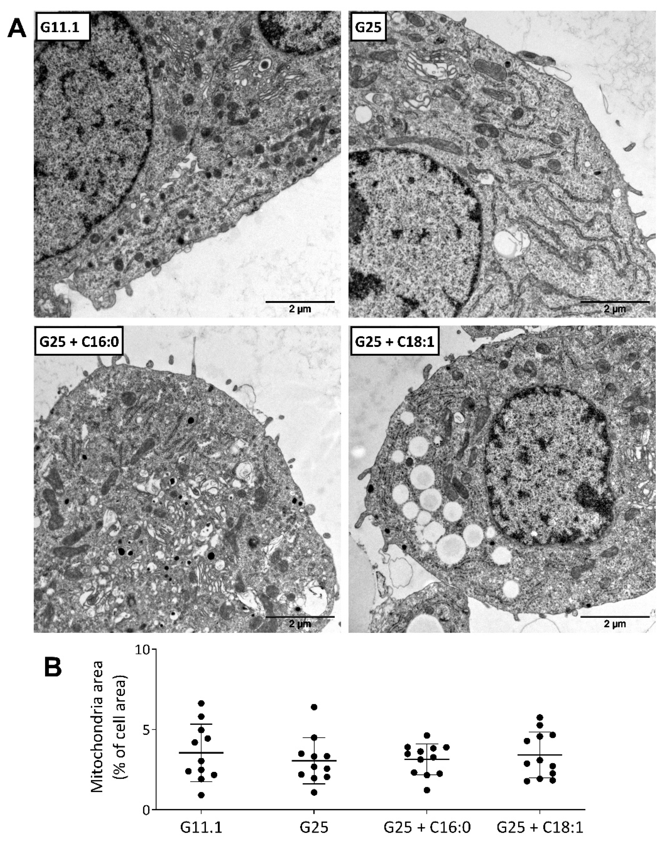 Ijms 23 00324 g002 550