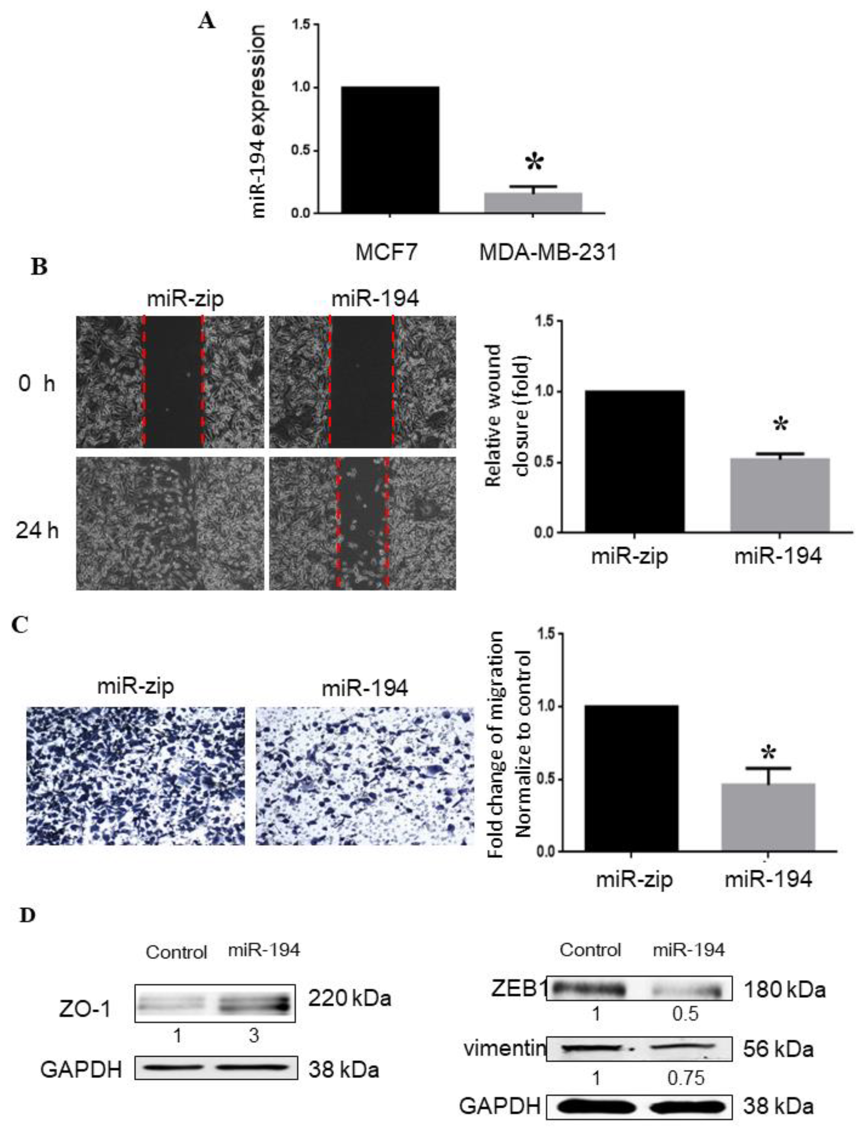 Ijms 23 00325 g004 550