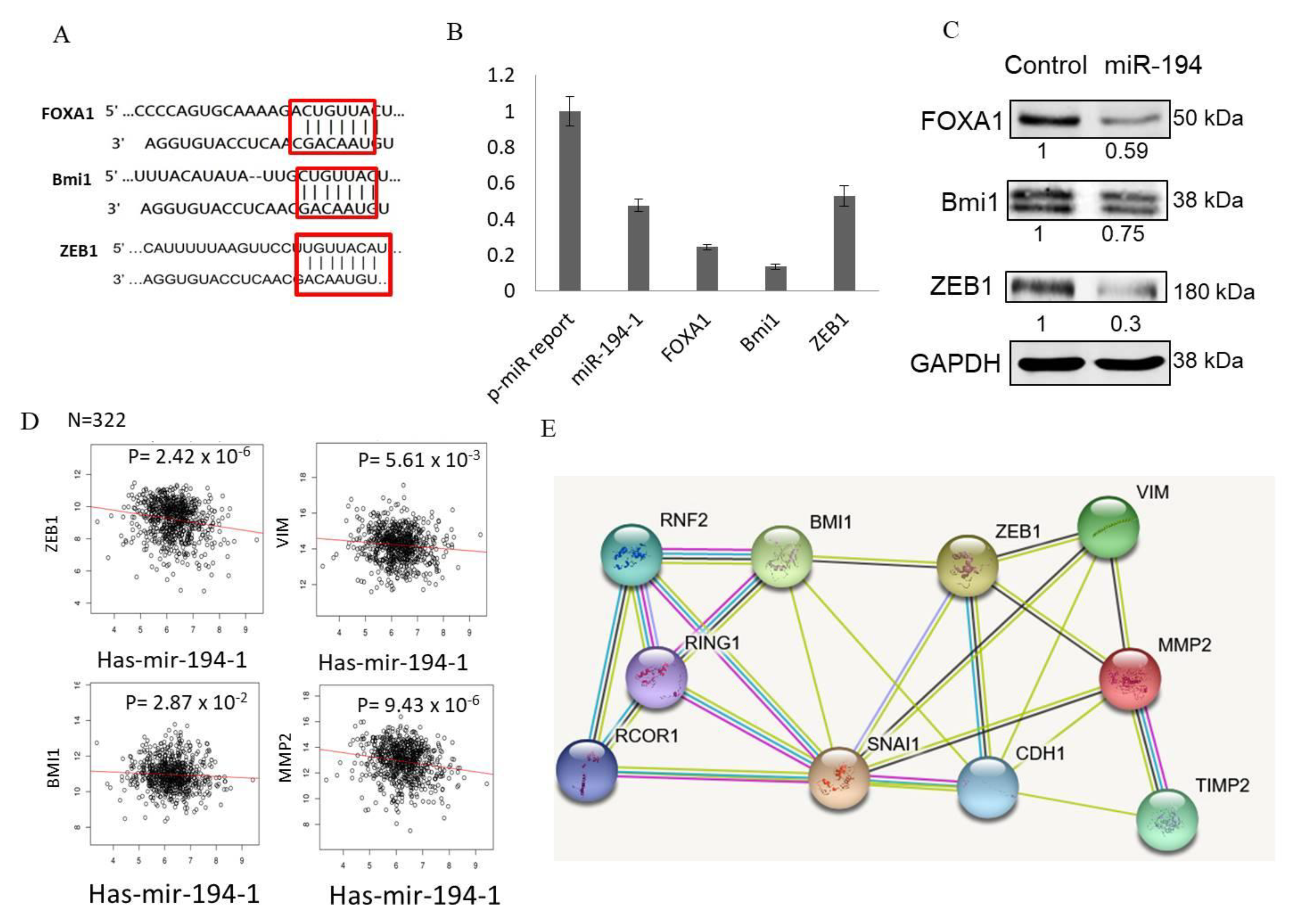 Ijms 23 00325 g006 550