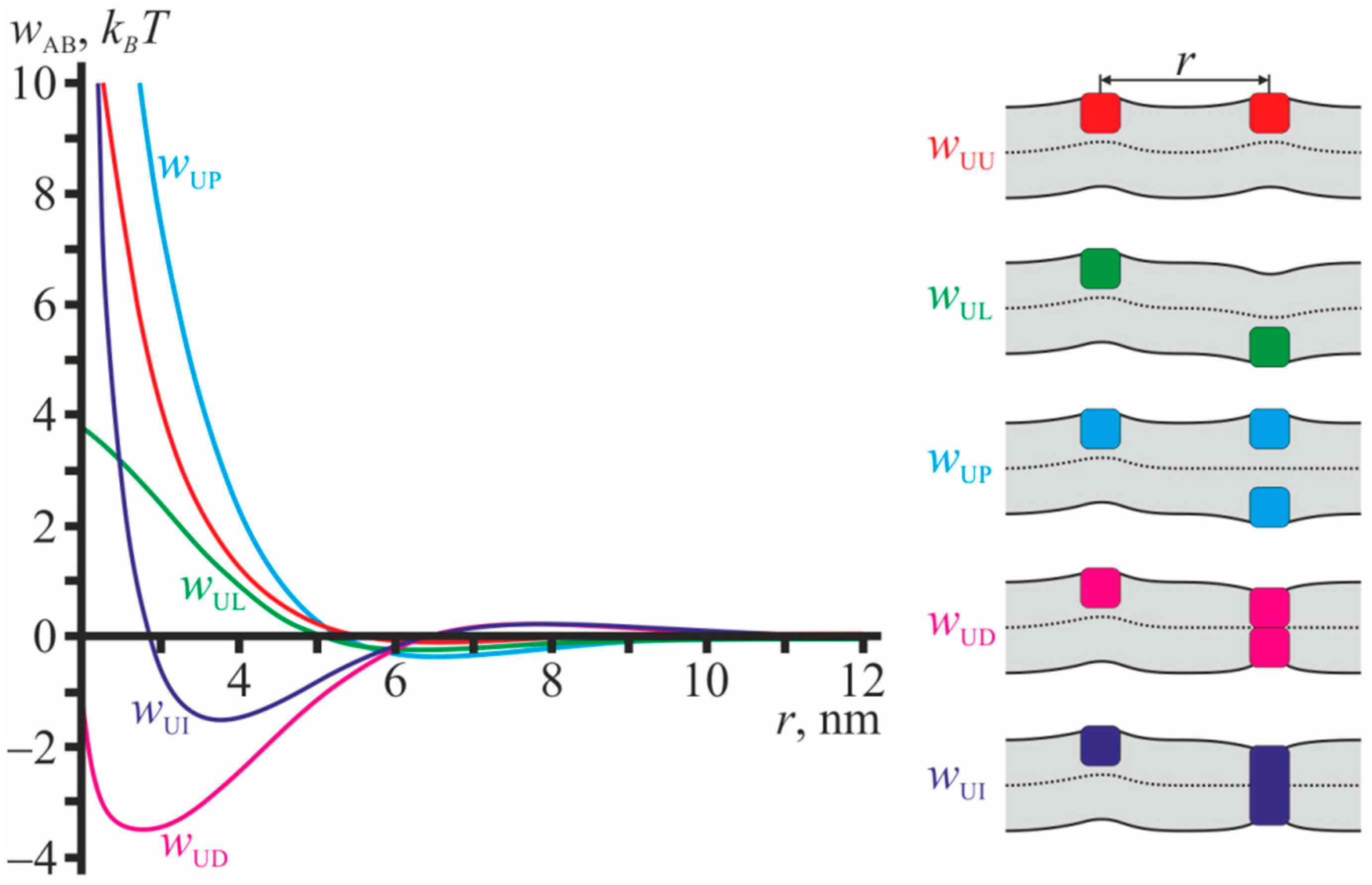 Ijms 23 00326 g002 Ijms 23 00326 g002