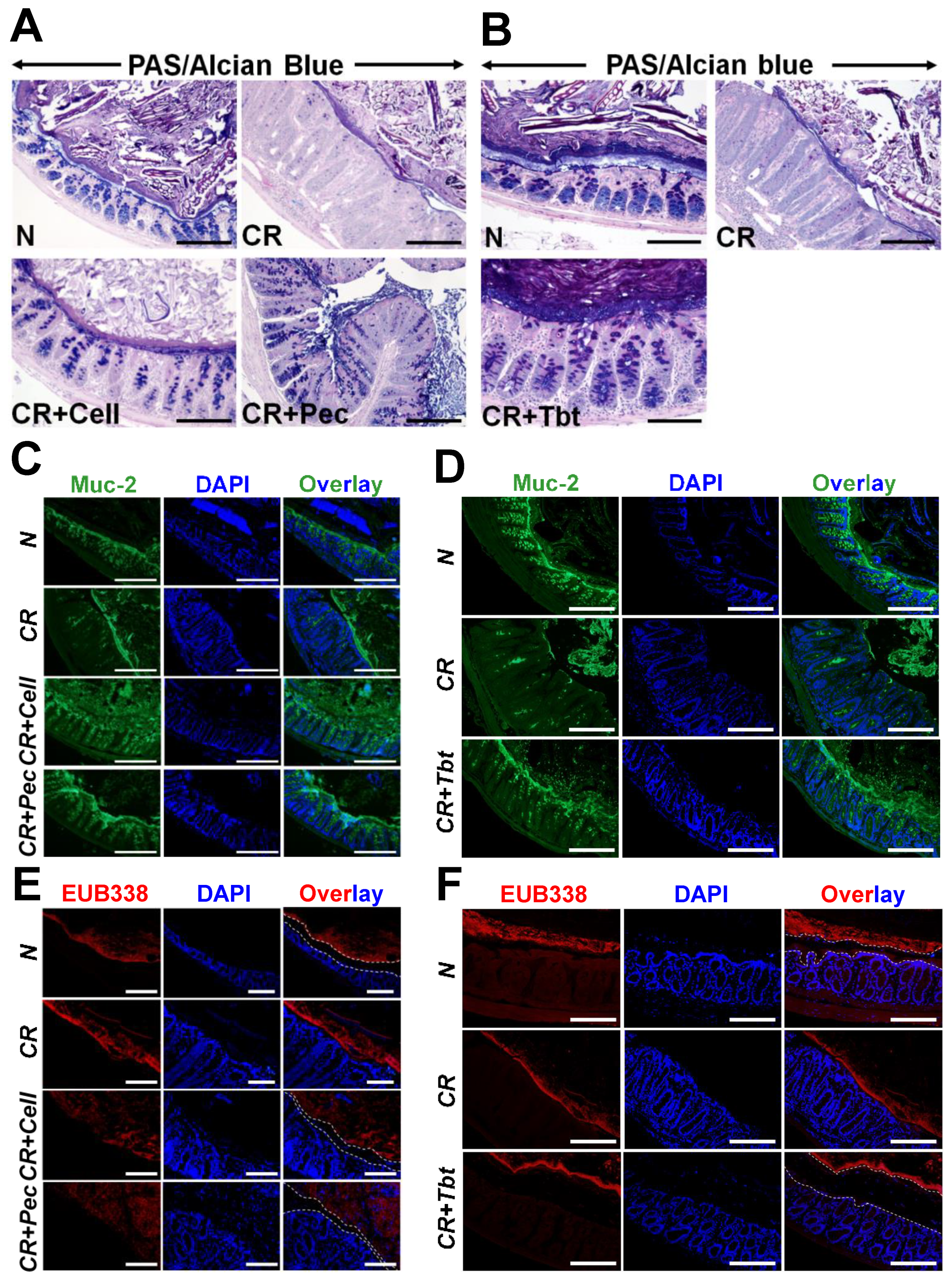 Ijms 23 00339 g002 550