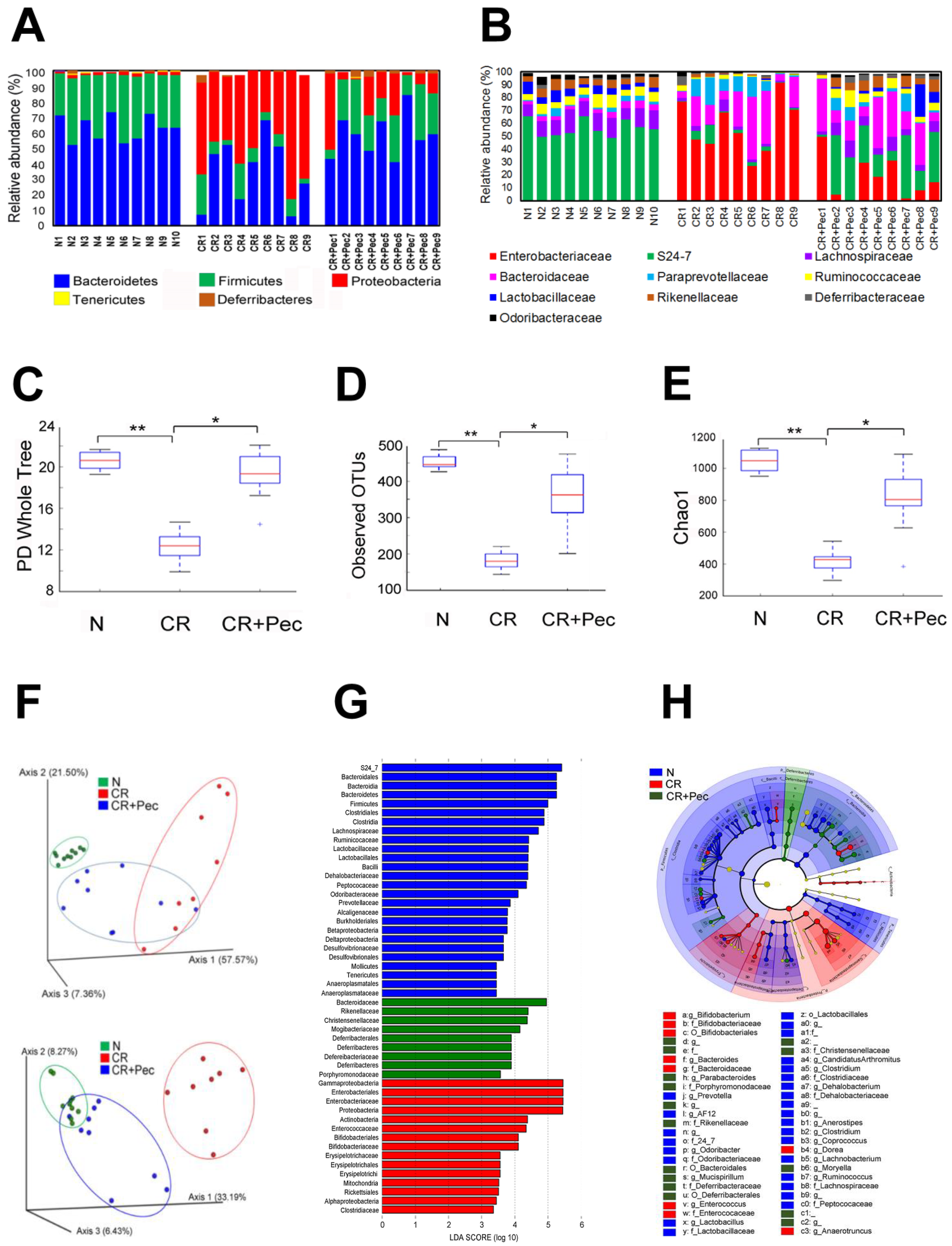Ijms 23 00339 g003 550
