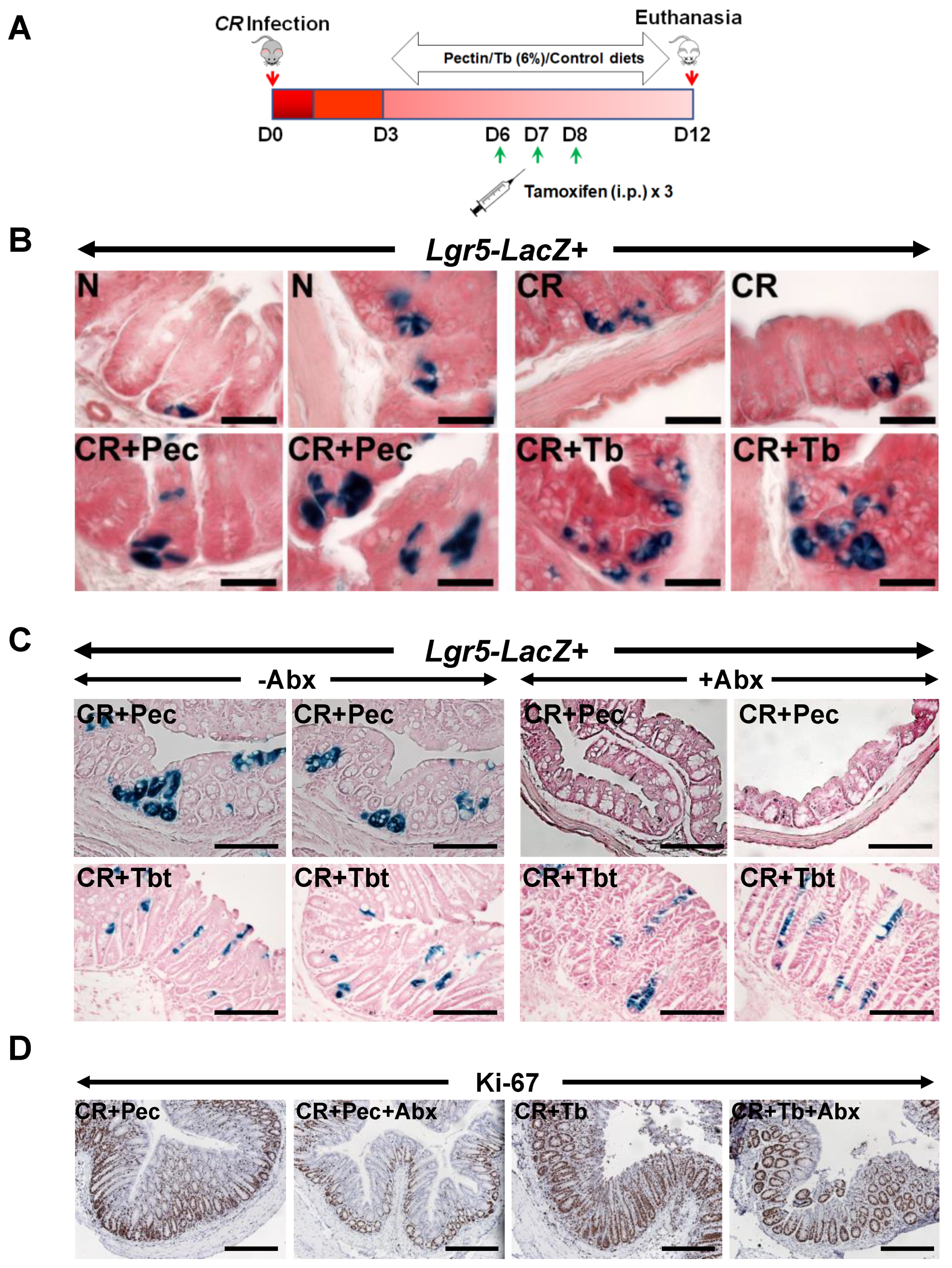 Ijms 23 00339 g005 550