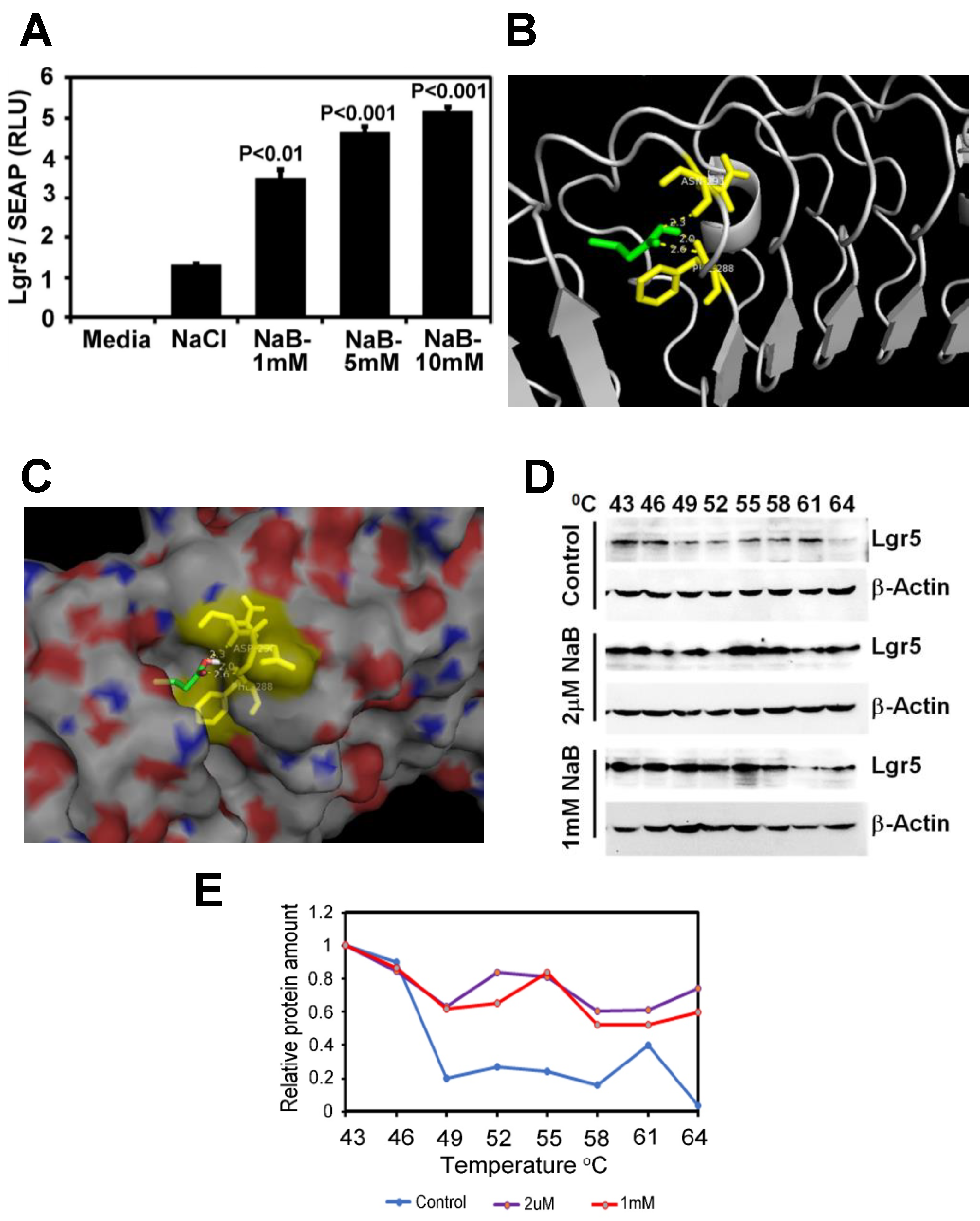 Ijms 23 00339 g006 550