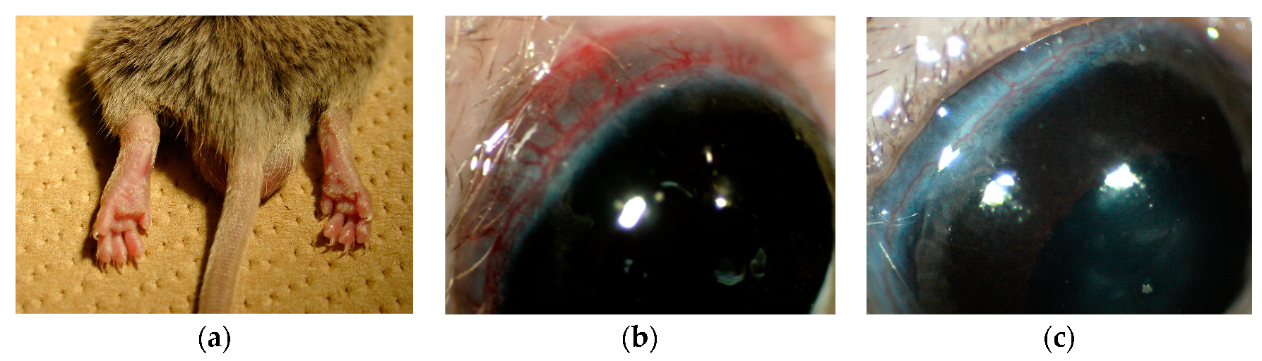 Ijms 23 00341 g001 Ijms 23 00341 g001