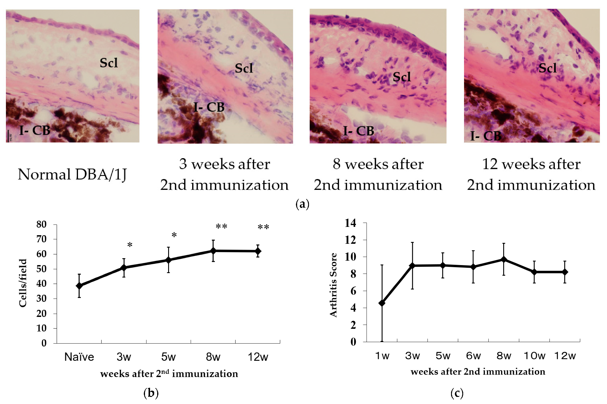 Ijms 23 00341 g002 Ijms 23 00341 g002