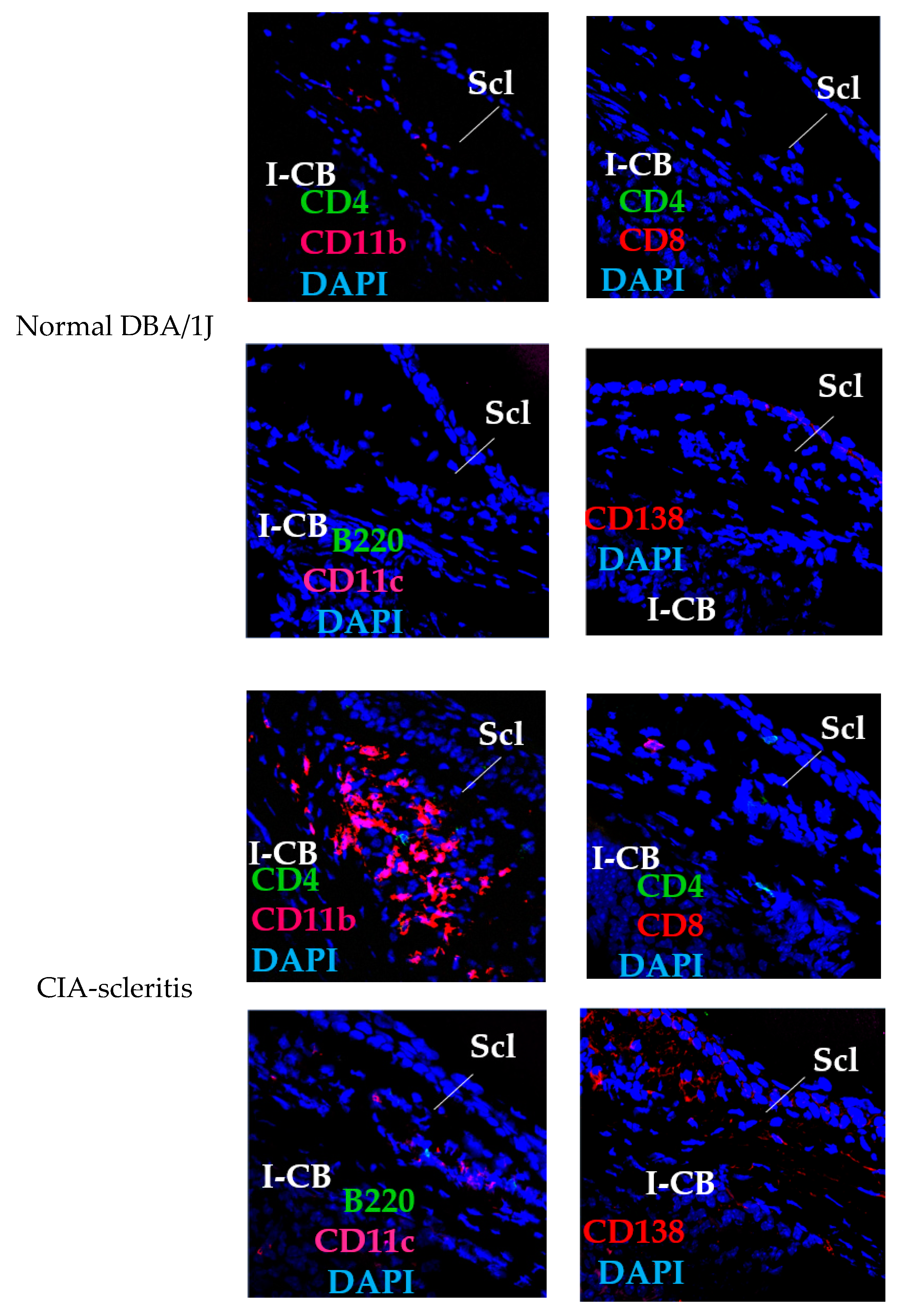 Ijms 23 00341 g003 Ijms 23 00341 g003