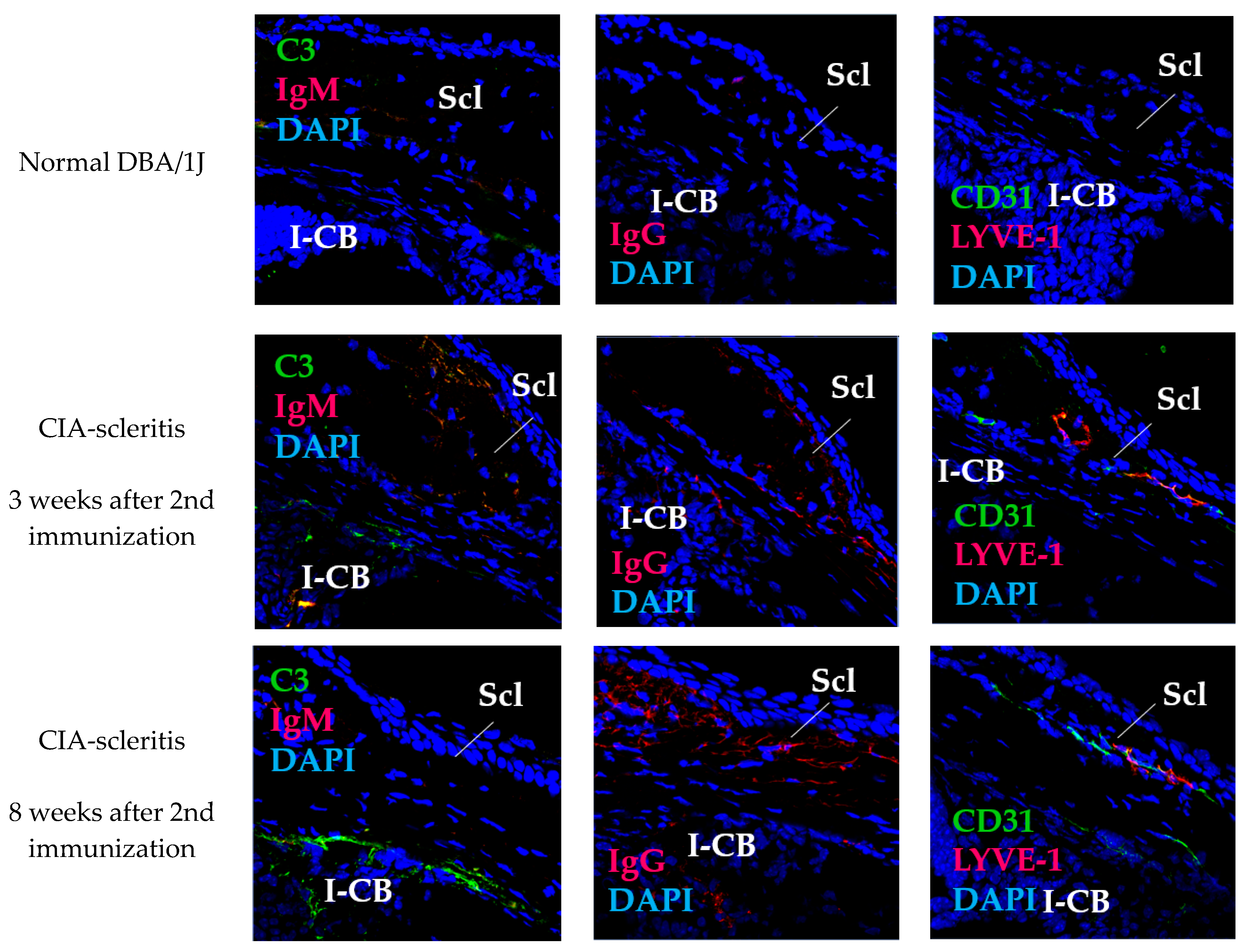 Ijms 23 00341 g004 Ijms 23 00341 g004