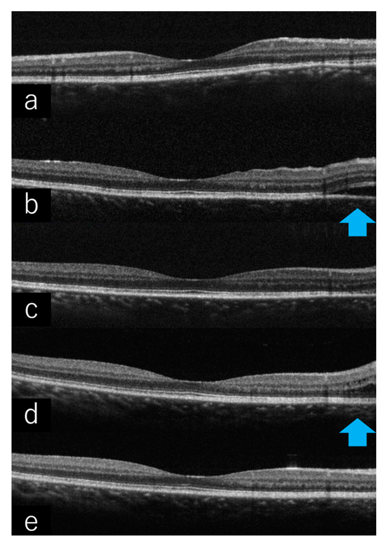 Ijms 23 00341 g006 Ijms 23 00341 g006