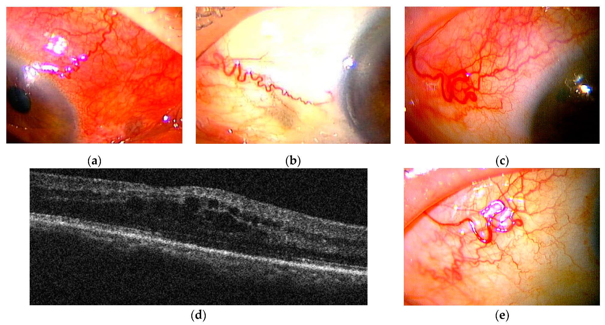 Ijms 23 00341 g007 Ijms 23 00341 g007