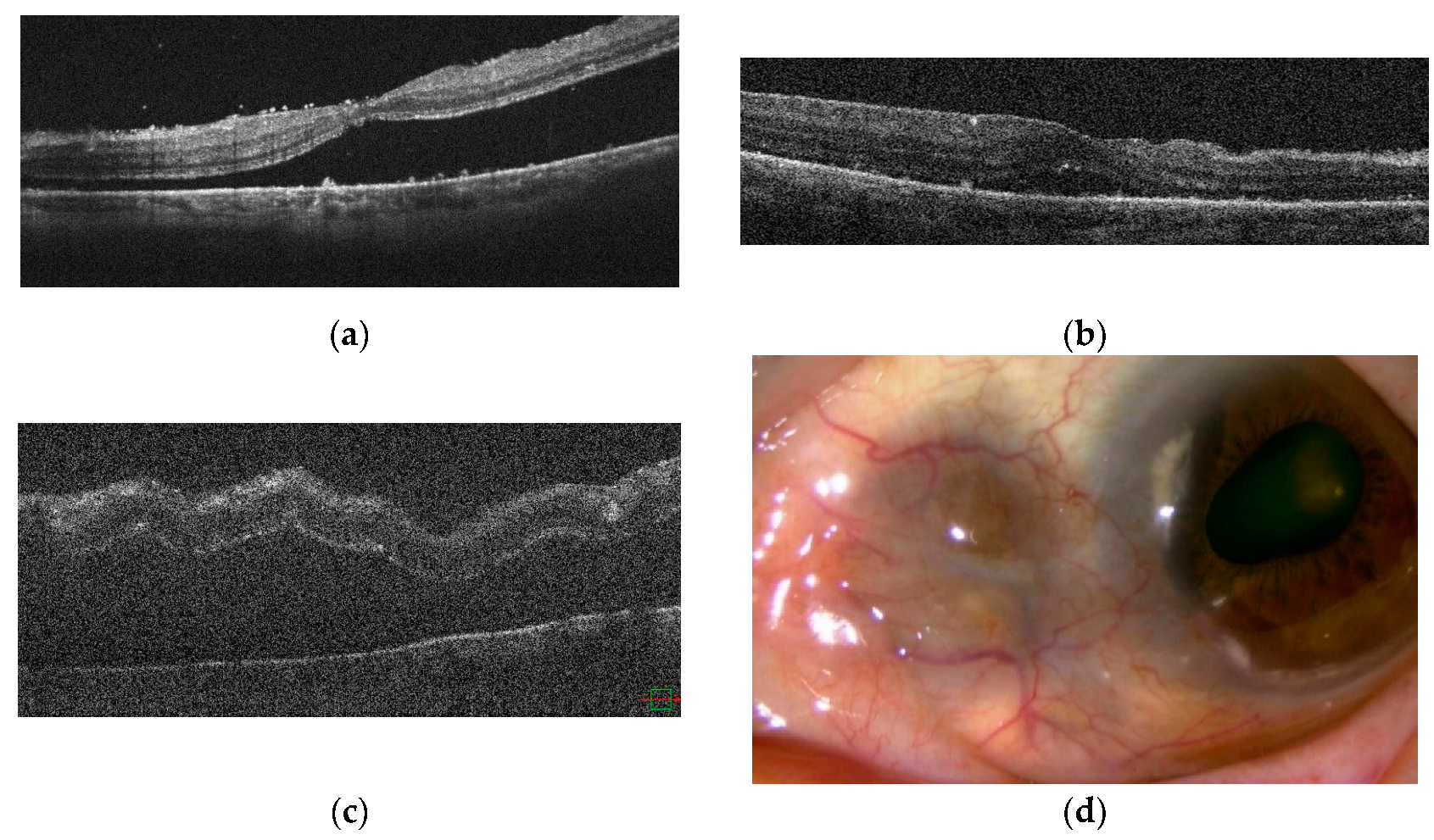 Ijms 23 00341 g010 Ijms 23 00341 g010