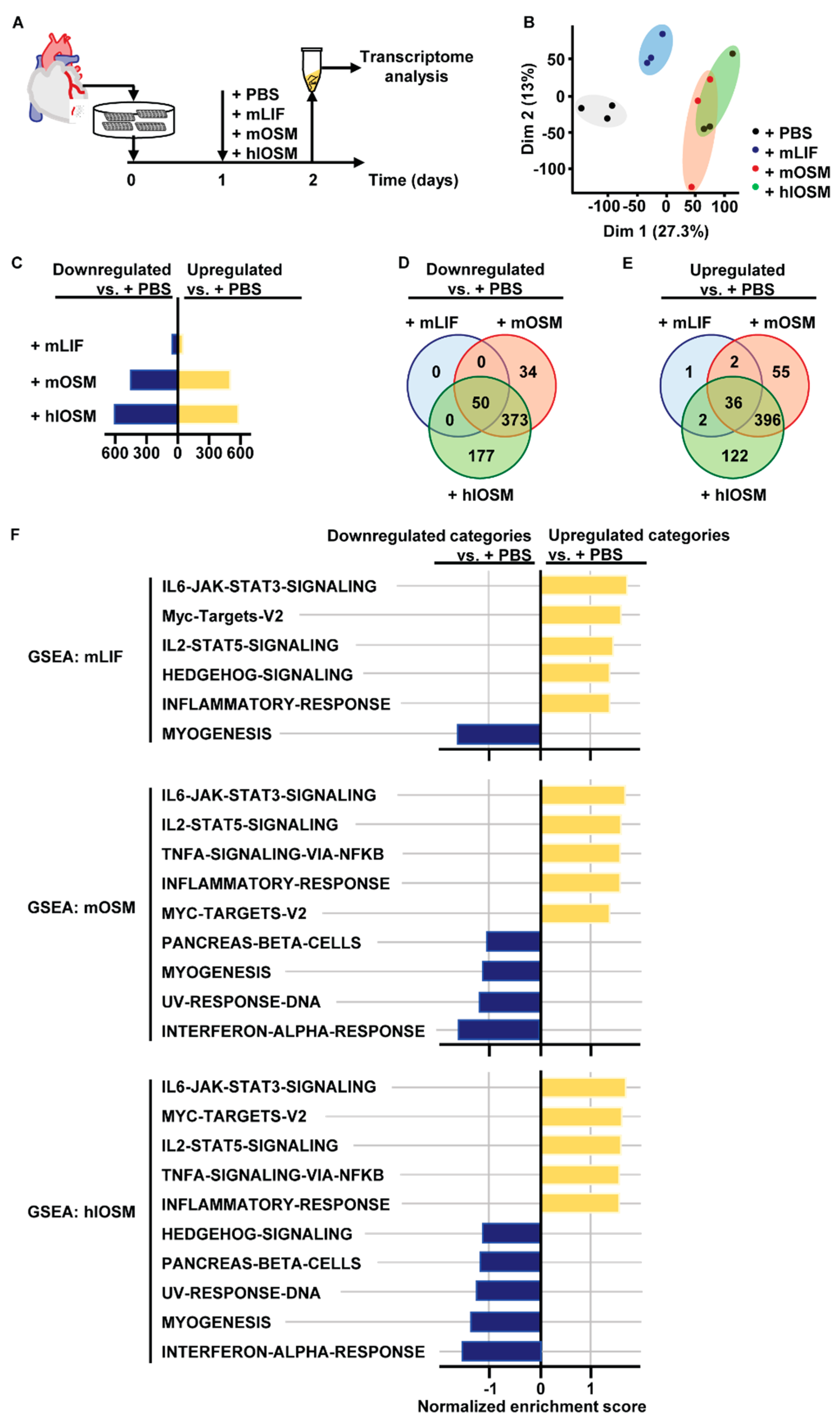 Ijms 23 00353 g002 Ijms 23 00353 g002