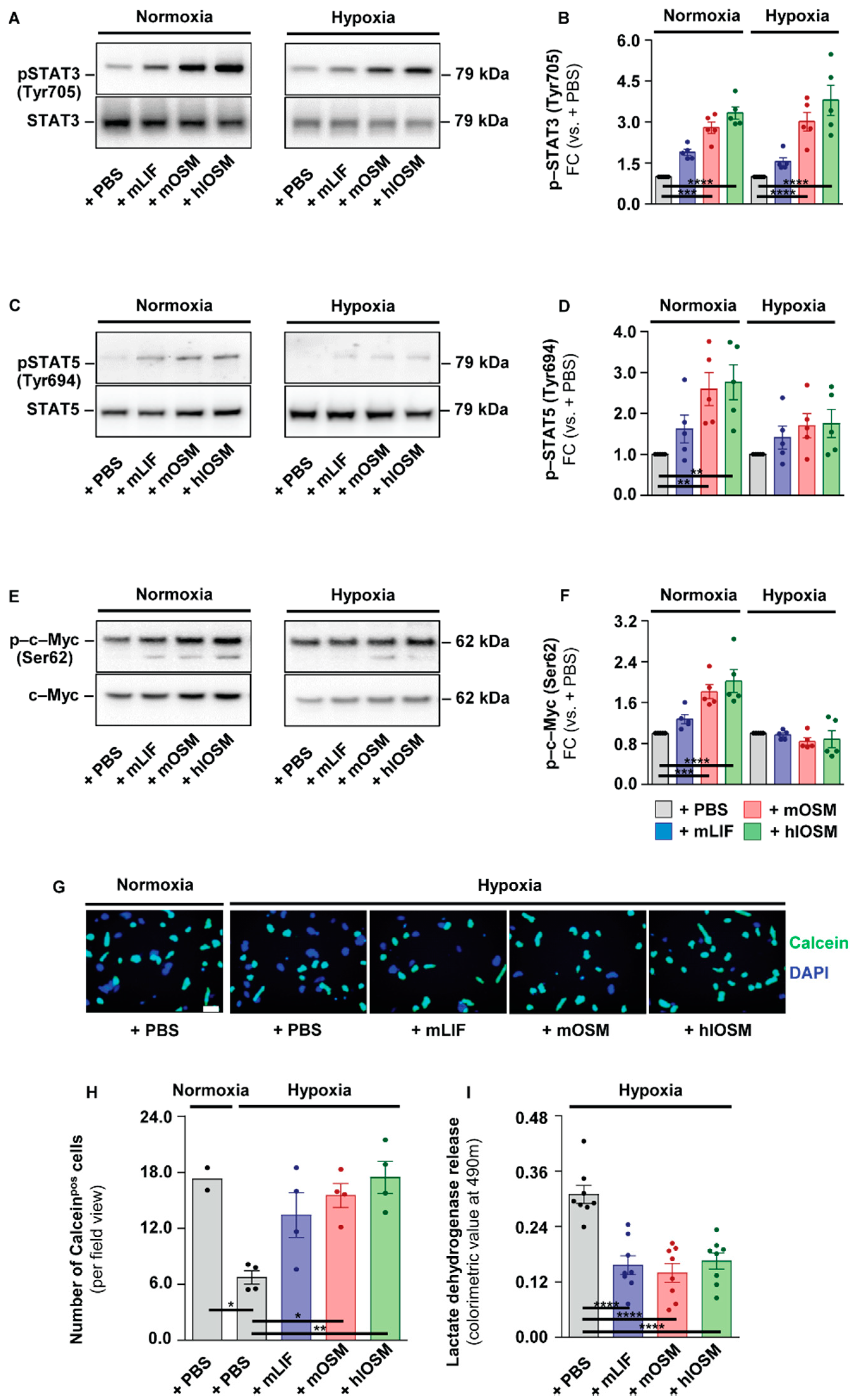 Ijms 23 00353 g003 Ijms 23 00353 g003