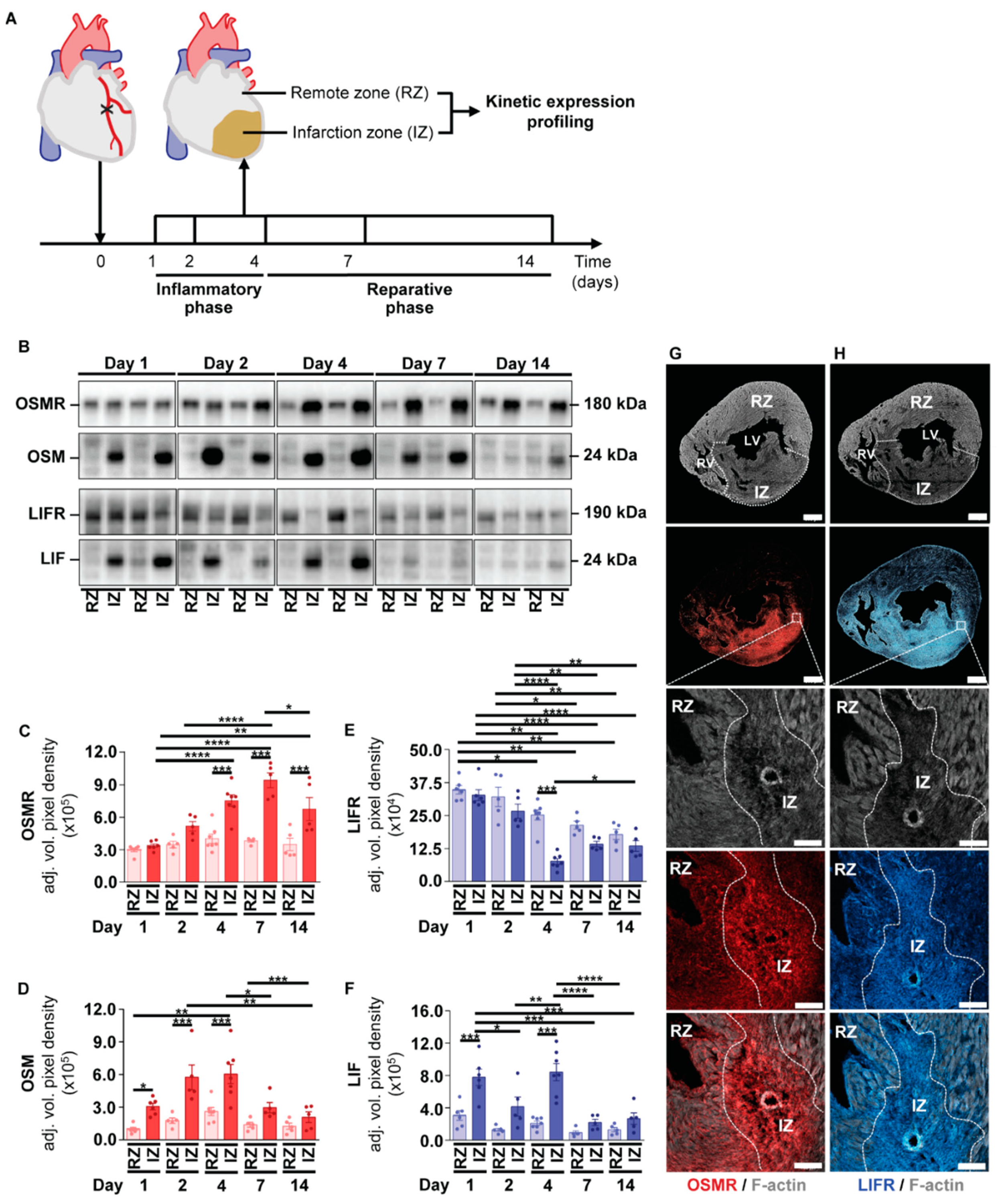 Ijms 23 00353 g004 Ijms 23 00353 g004