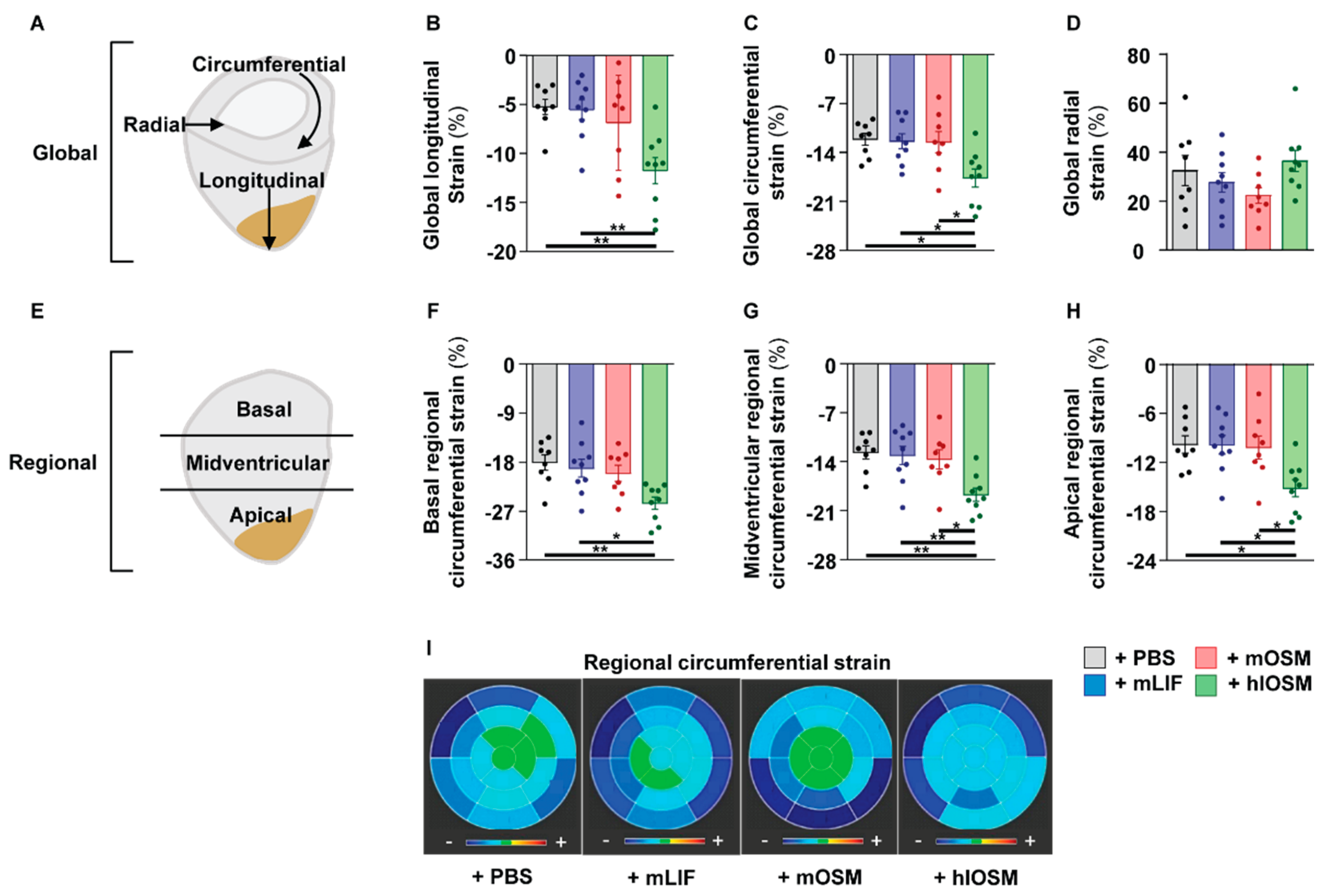 Ijms 23 00353 g006 Ijms 23 00353 g006