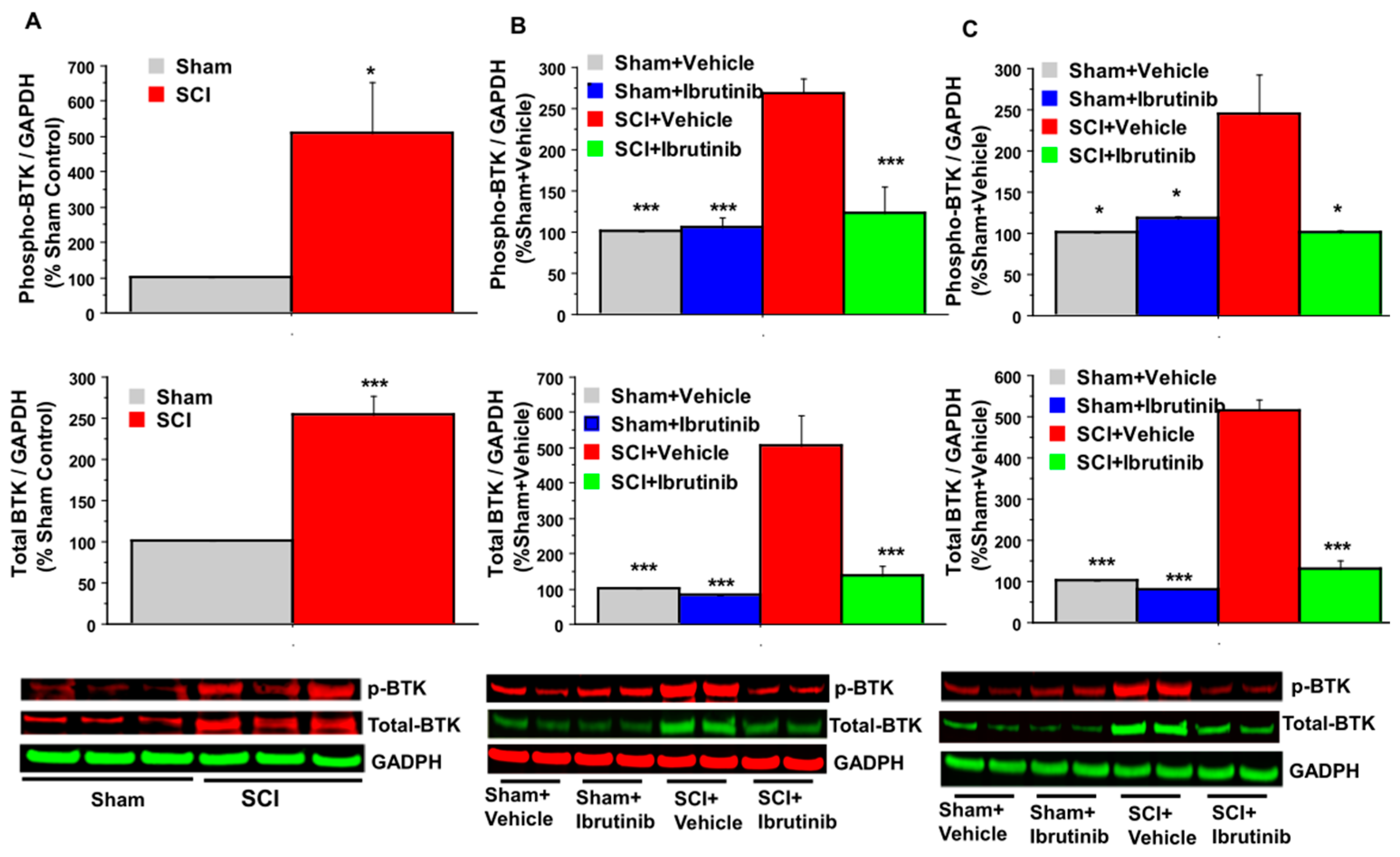 Ijms 23 00355 g001 Ijms 23 00355 g001