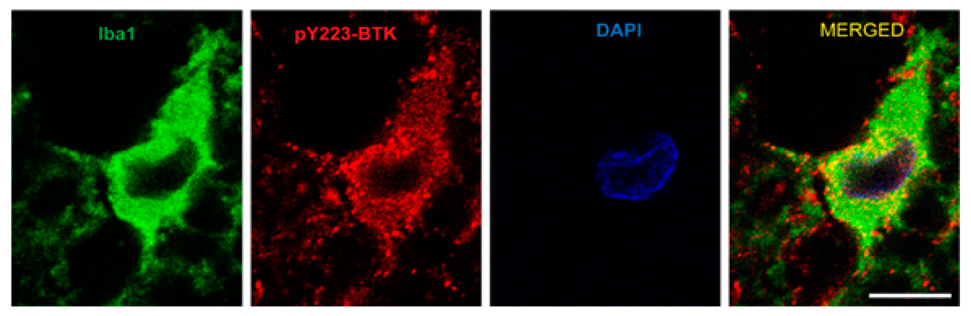 Ijms 23 00355 g004 Ijms 23 00355 g004