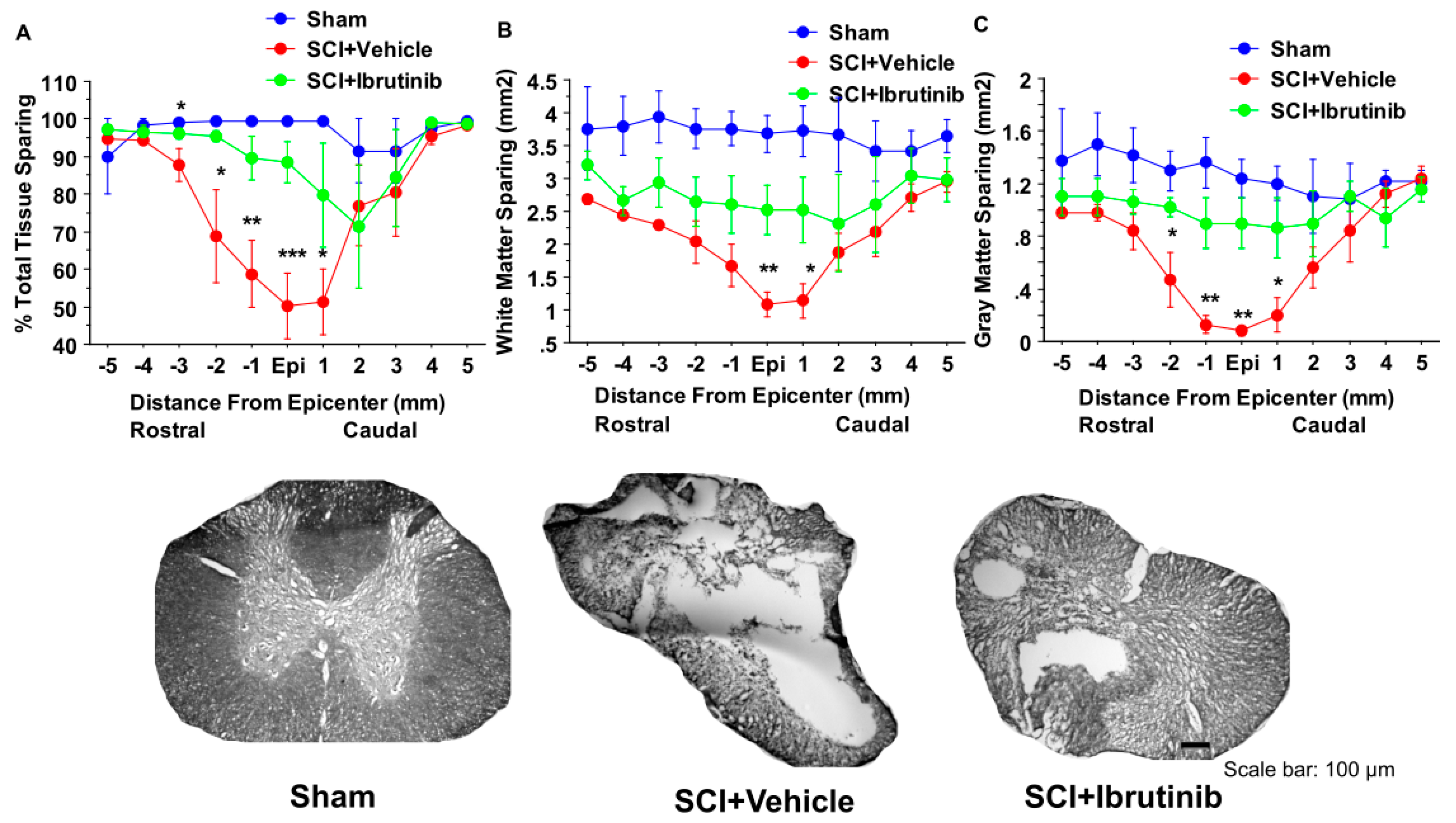 Ijms 23 00355 g008 Ijms 23 00355 g008