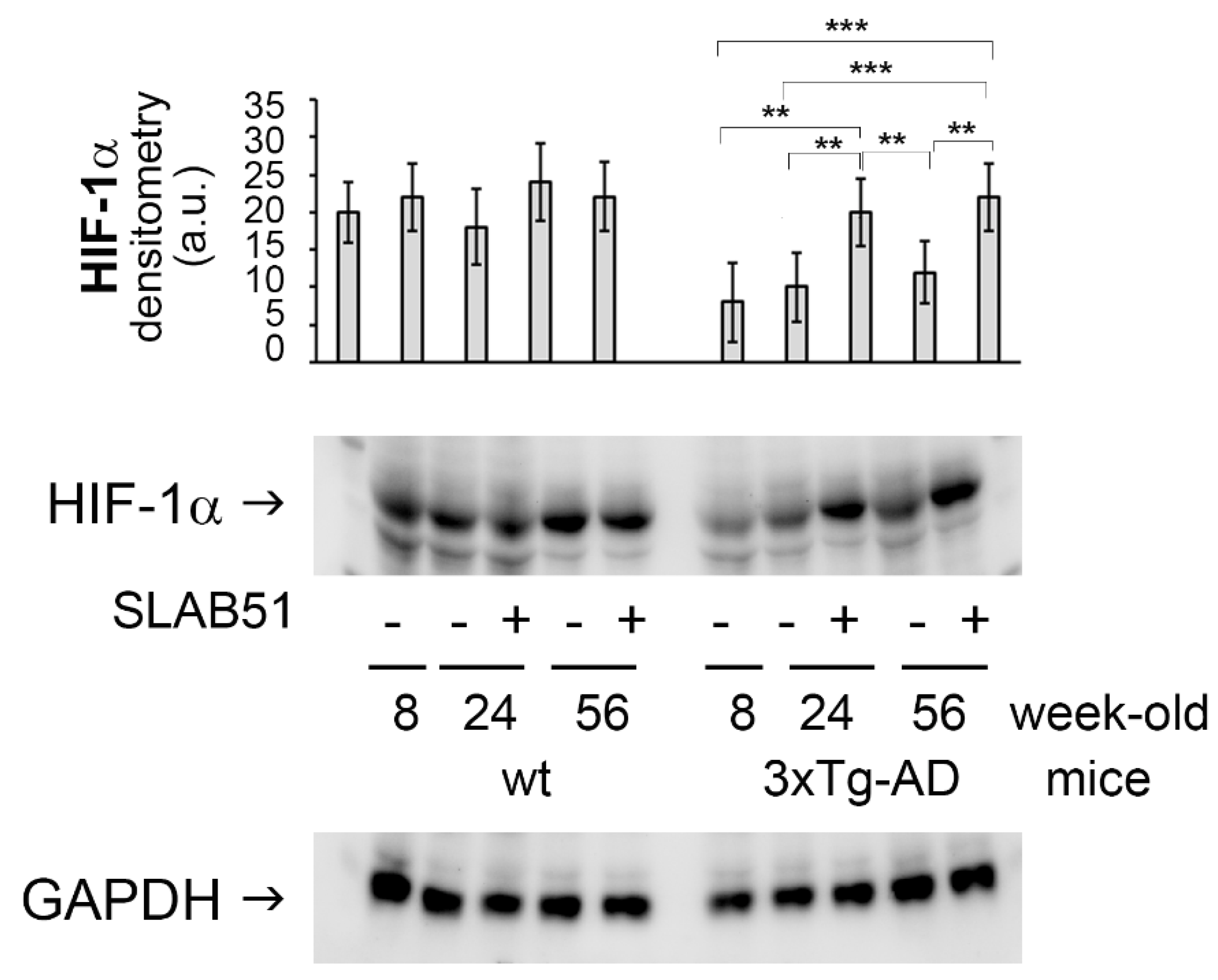 Ijms 23 00357 g002 550