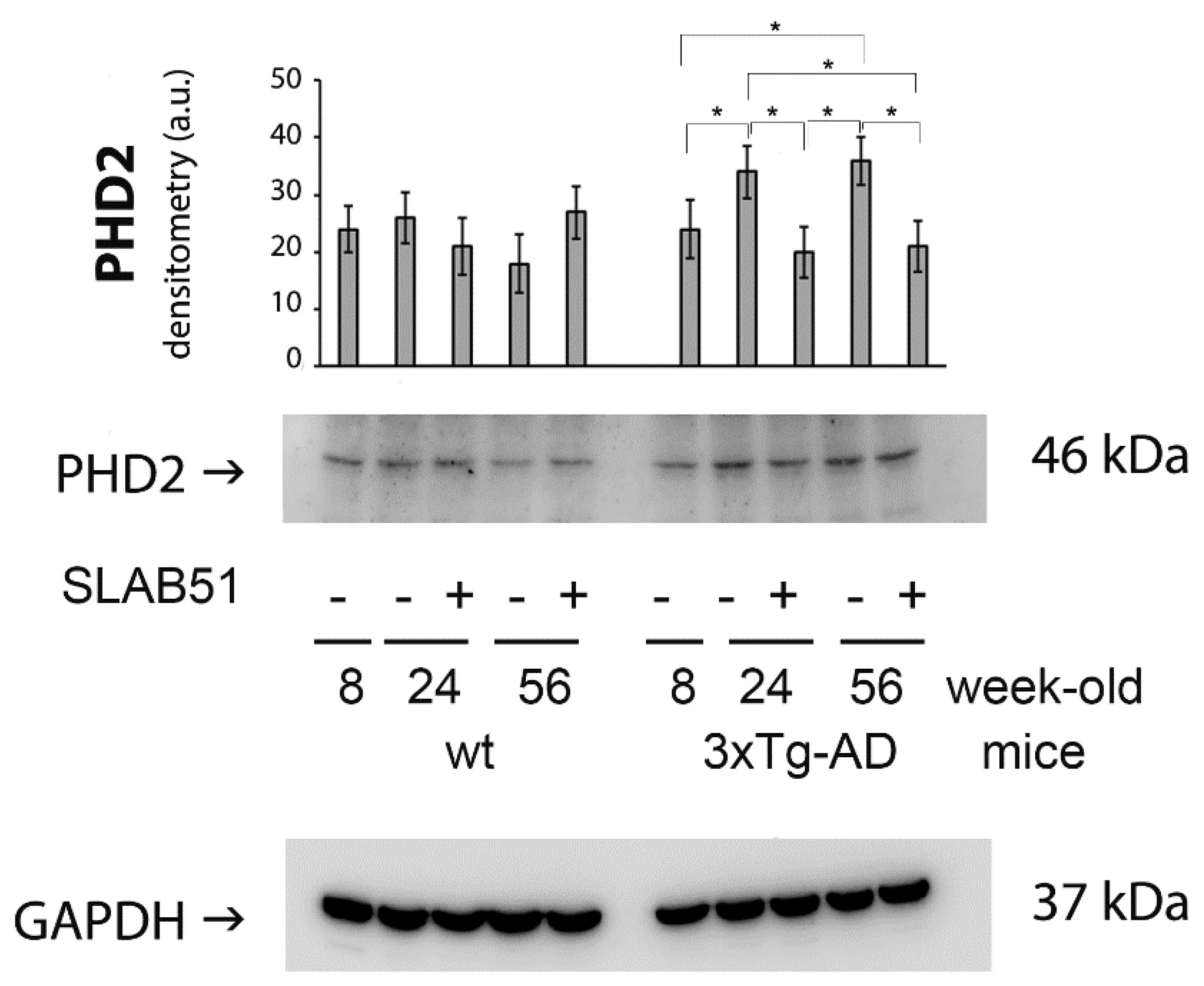 Ijms 23 00357 g003 550