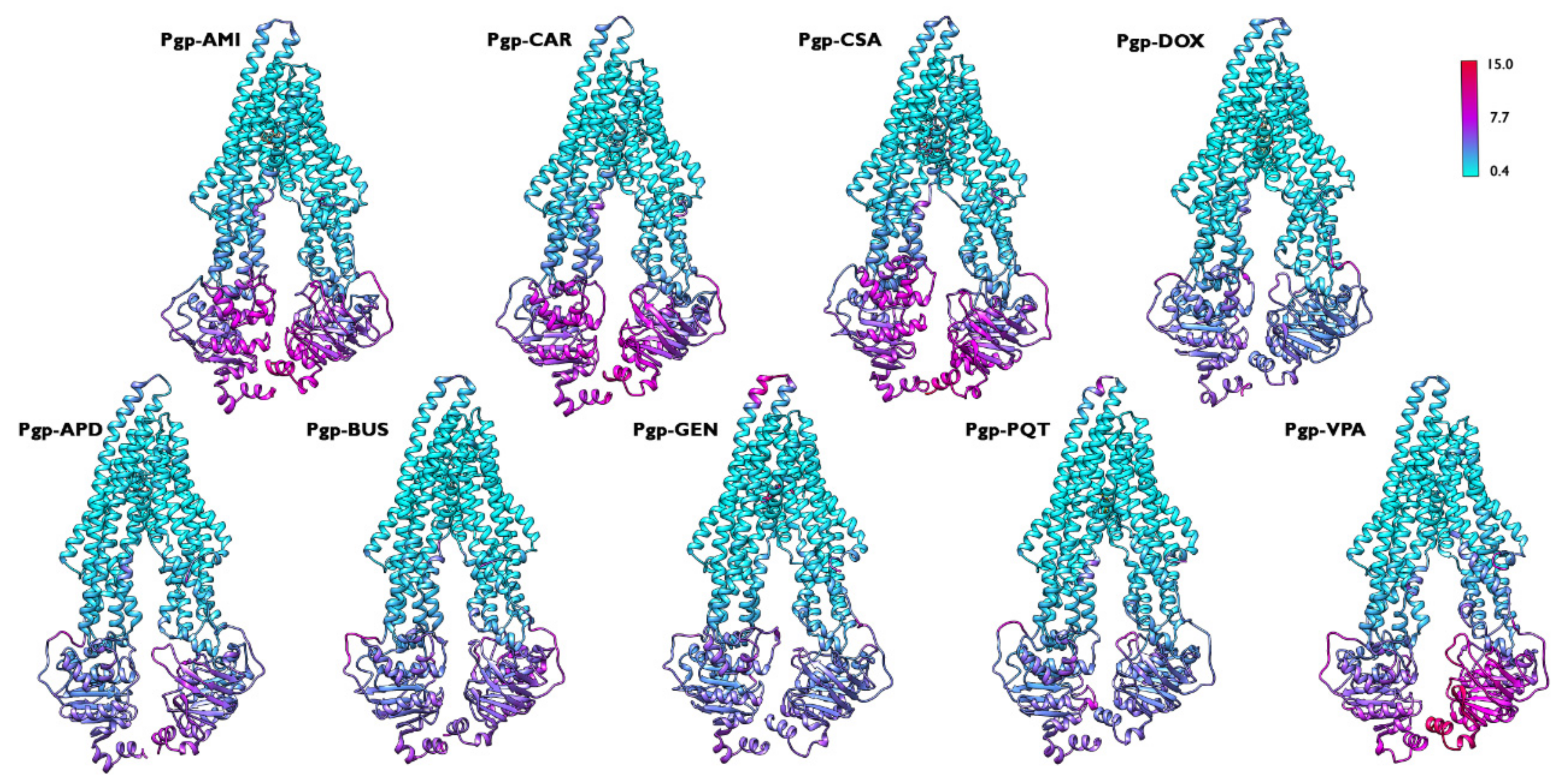 Ijms 23 00362 g004 Ijms 23 00362 g004