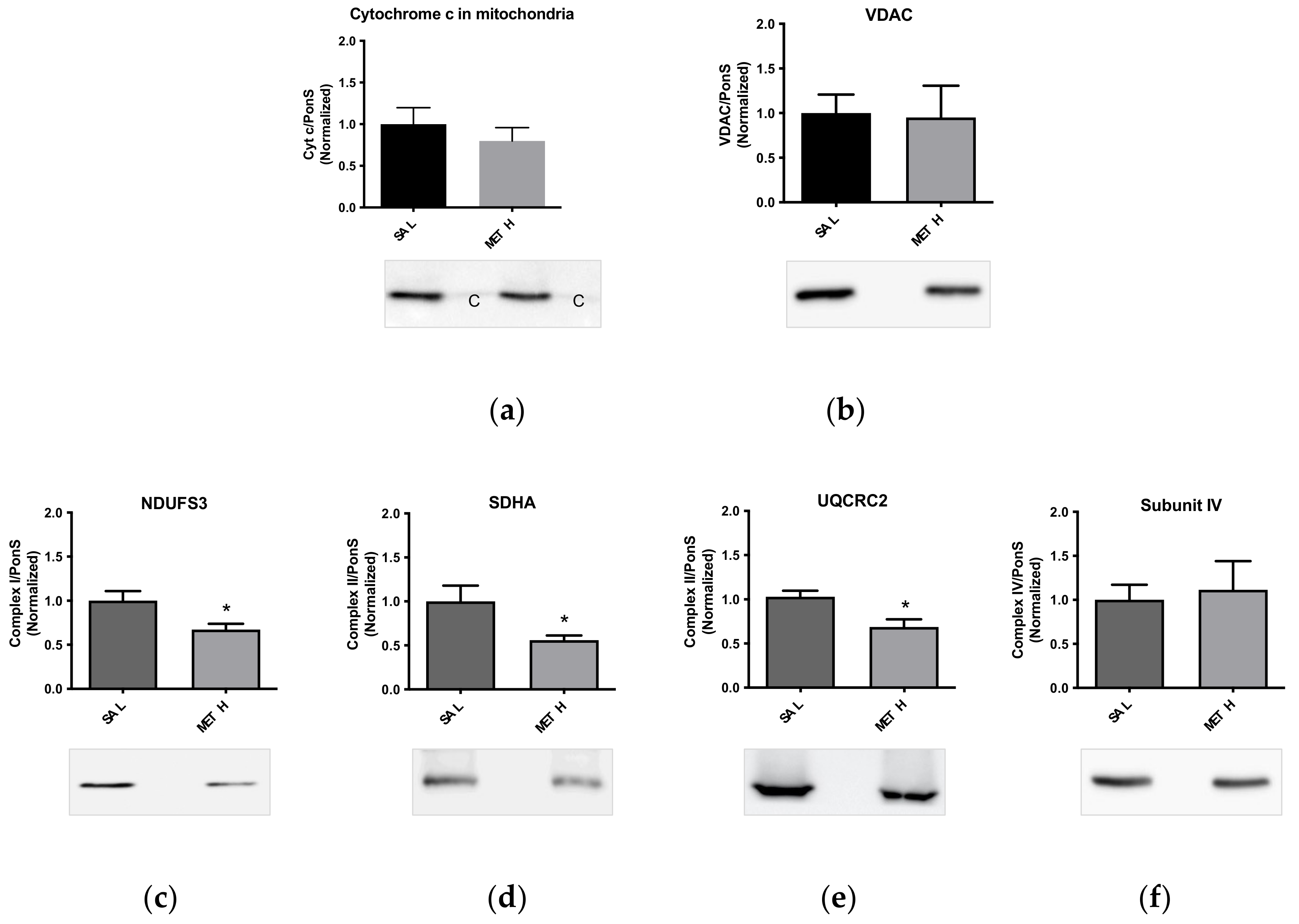 Ijms 23 00363 g003 Ijms 23 00363 g003