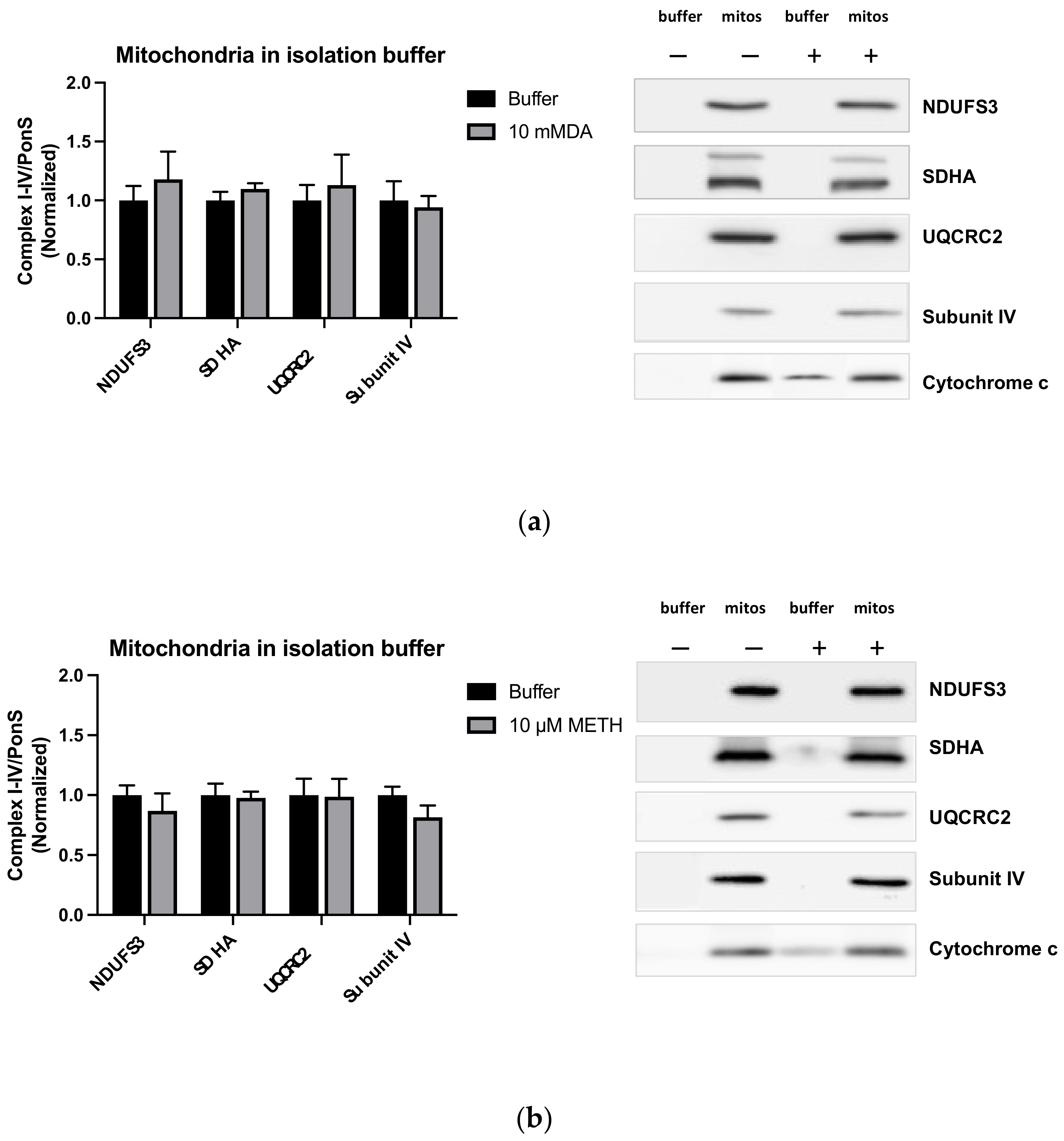 Ijms 23 00363 g004 Ijms 23 00363 g004