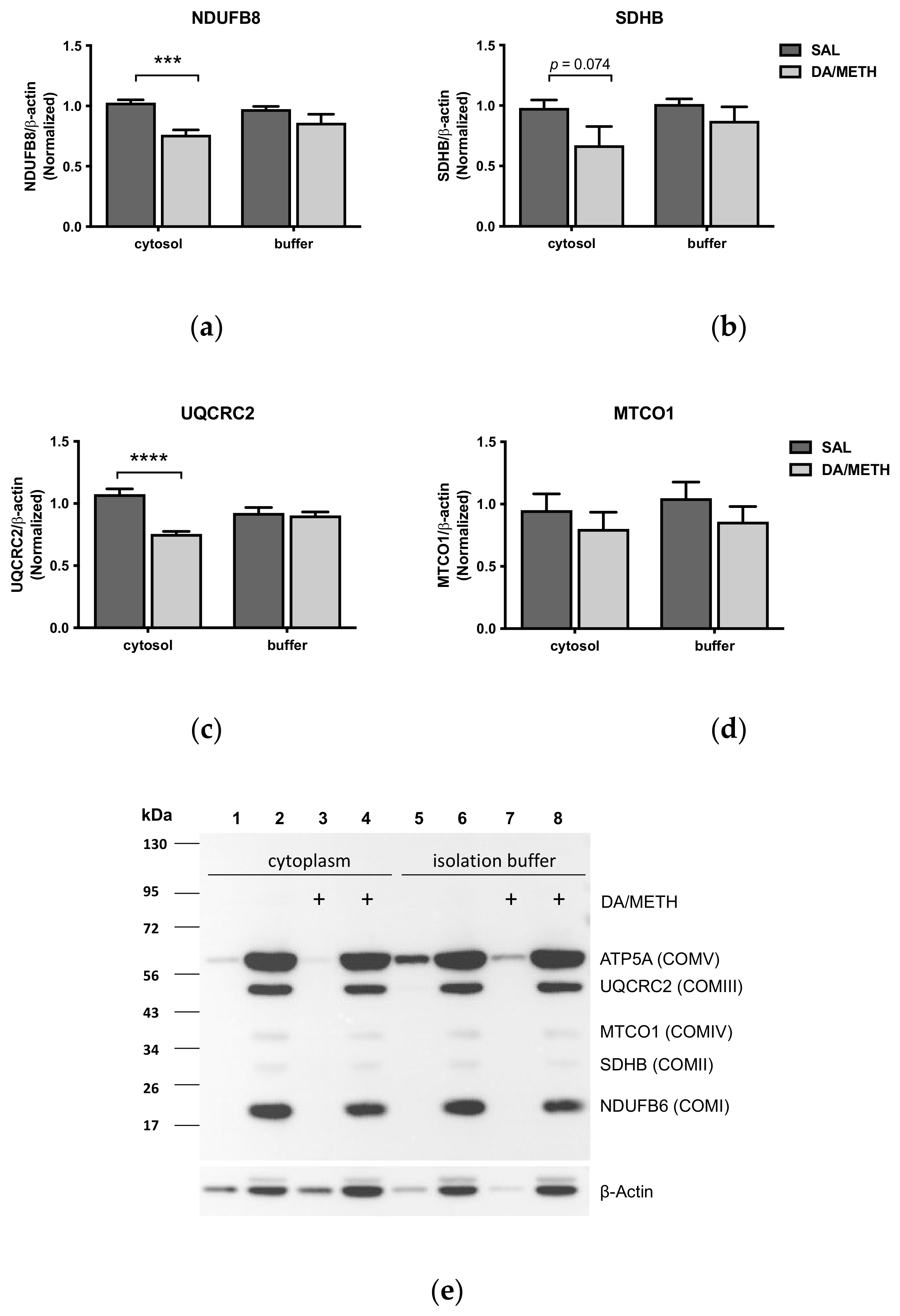 Ijms 23 00363 g005 Ijms 23 00363 g005