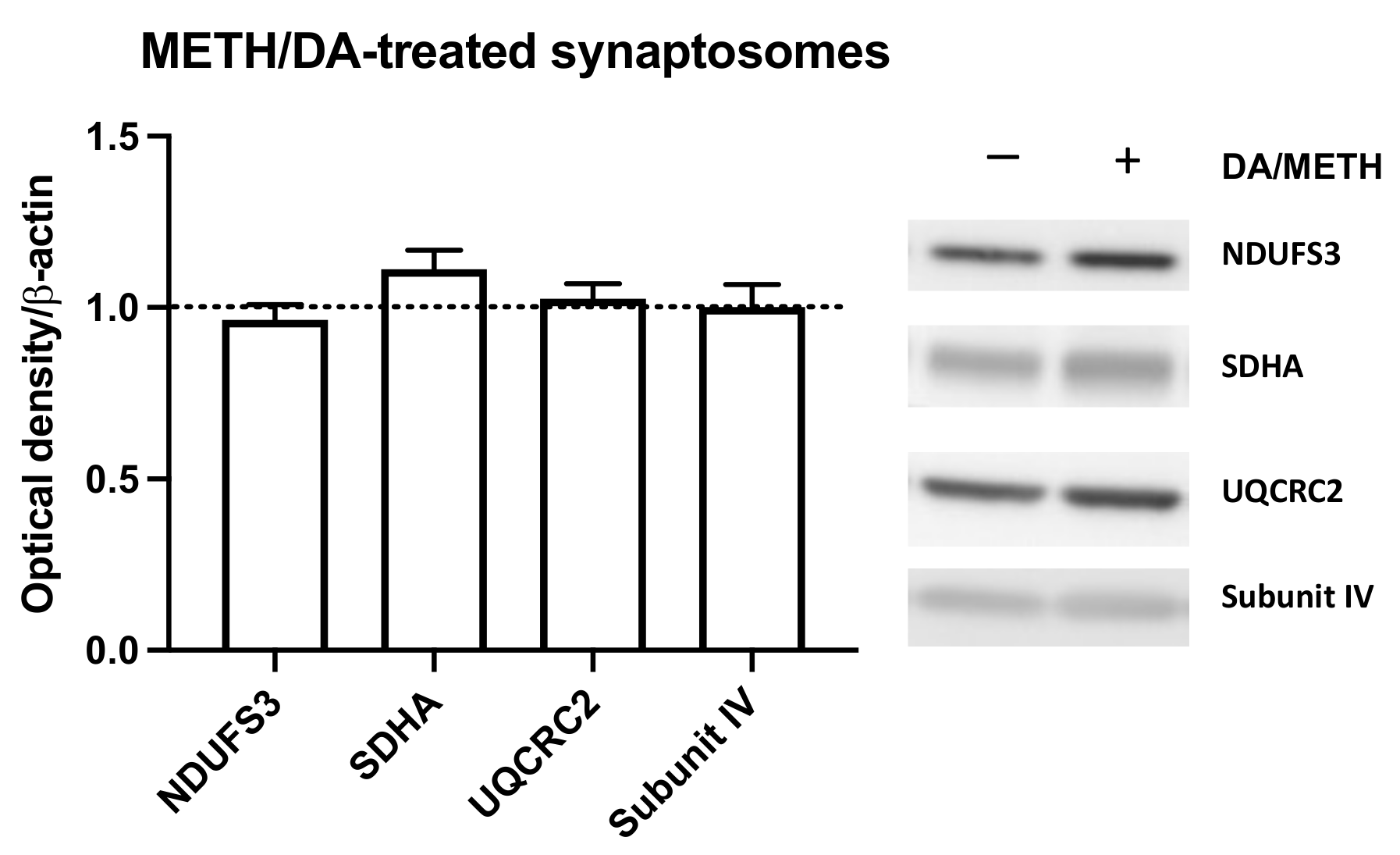 Ijms 23 00363 g006 Ijms 23 00363 g006