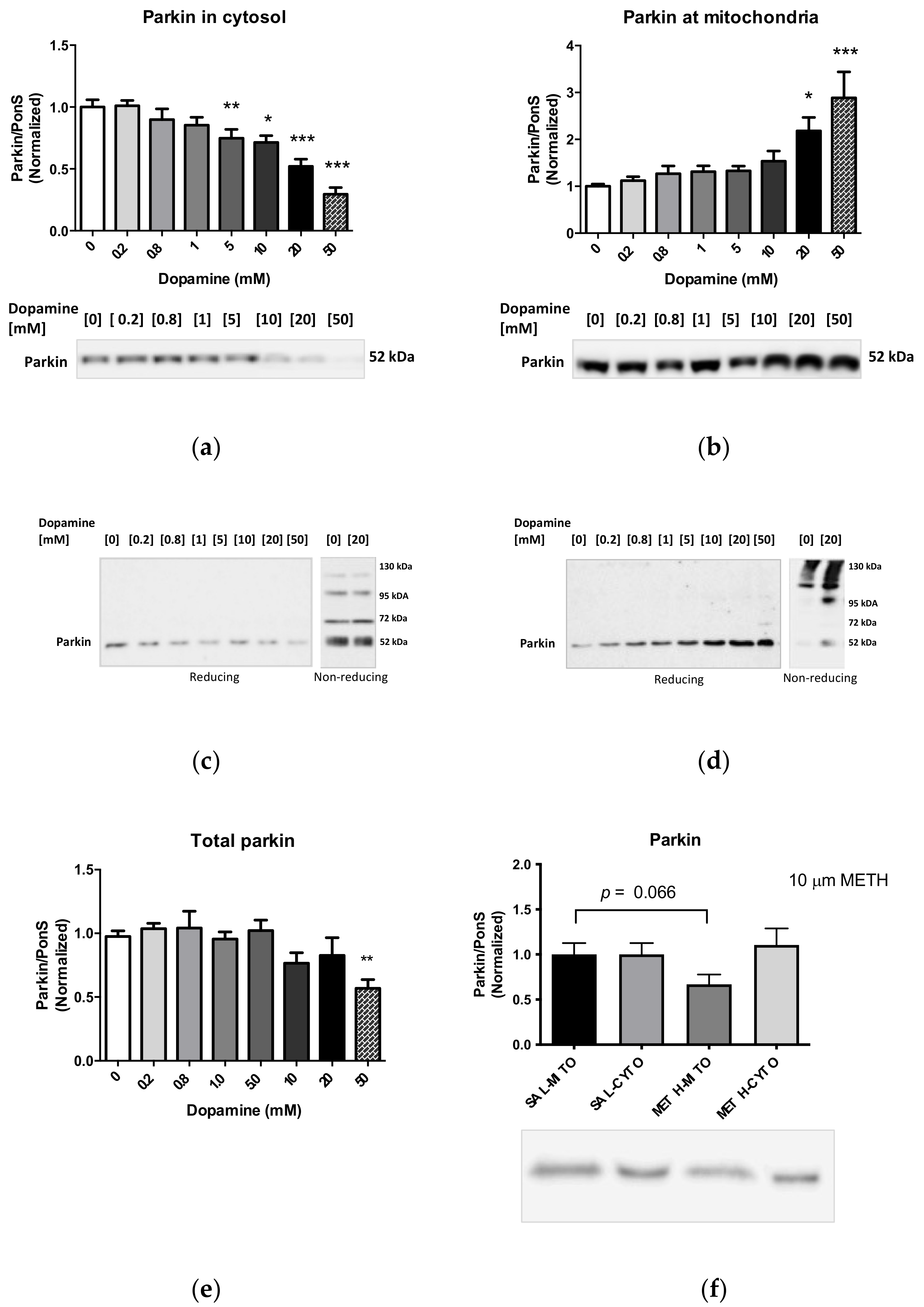 Ijms 23 00363 g007a Ijms 23 00363 g007a