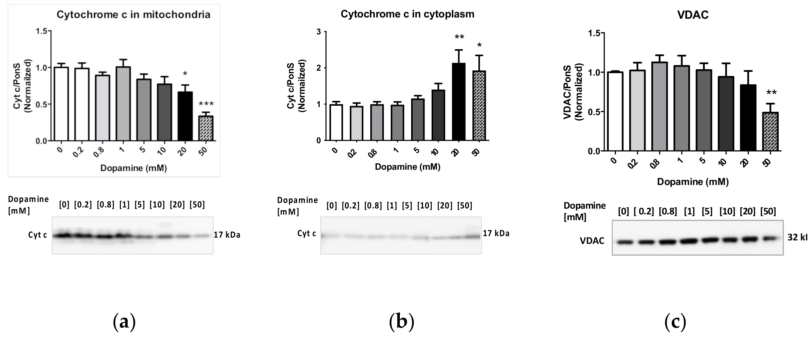 Ijms 23 00363 g0a2 Ijms 23 00363 g0a2