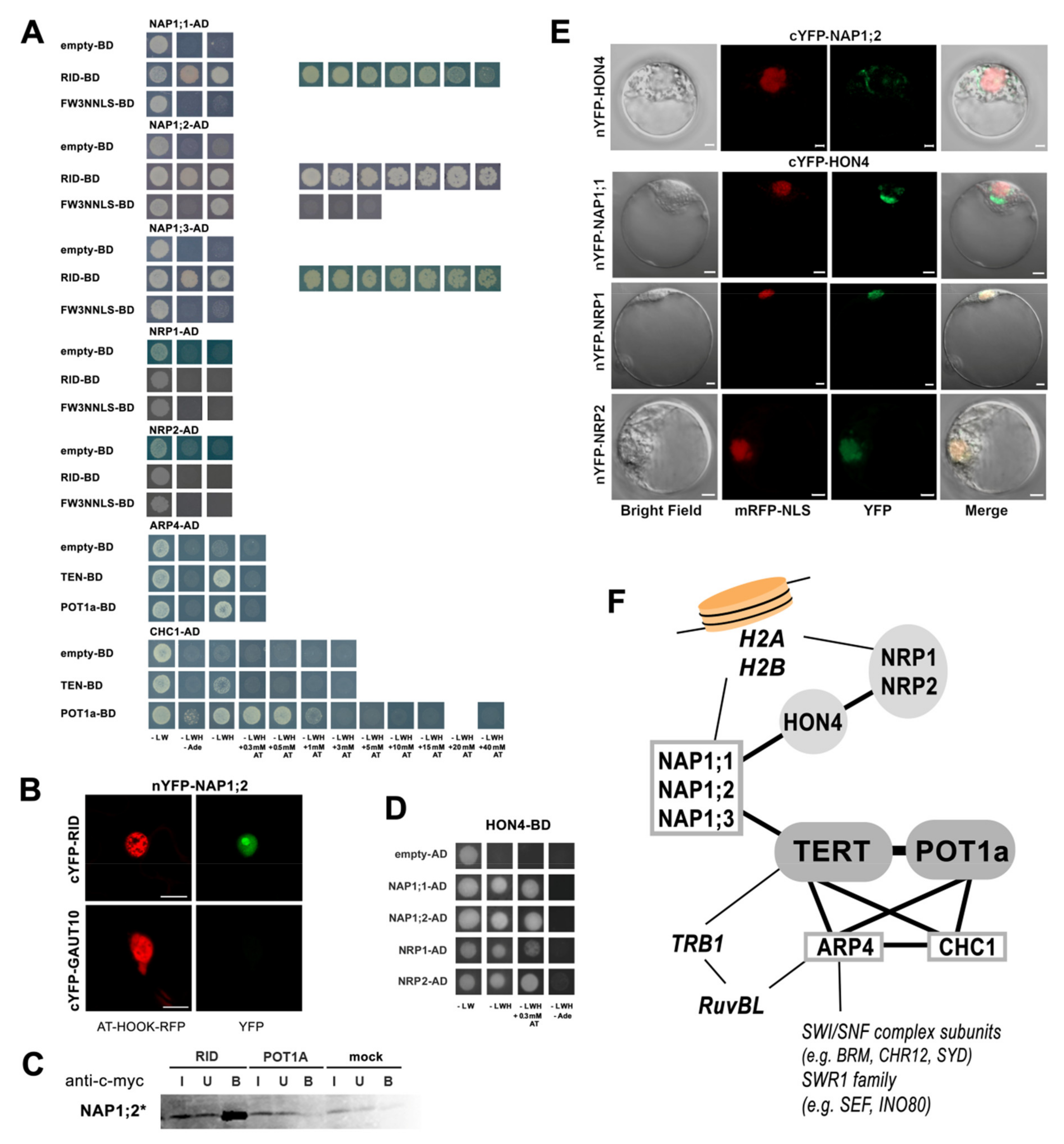 Ijms 23 00368 g002 Ijms 23 00368 g002