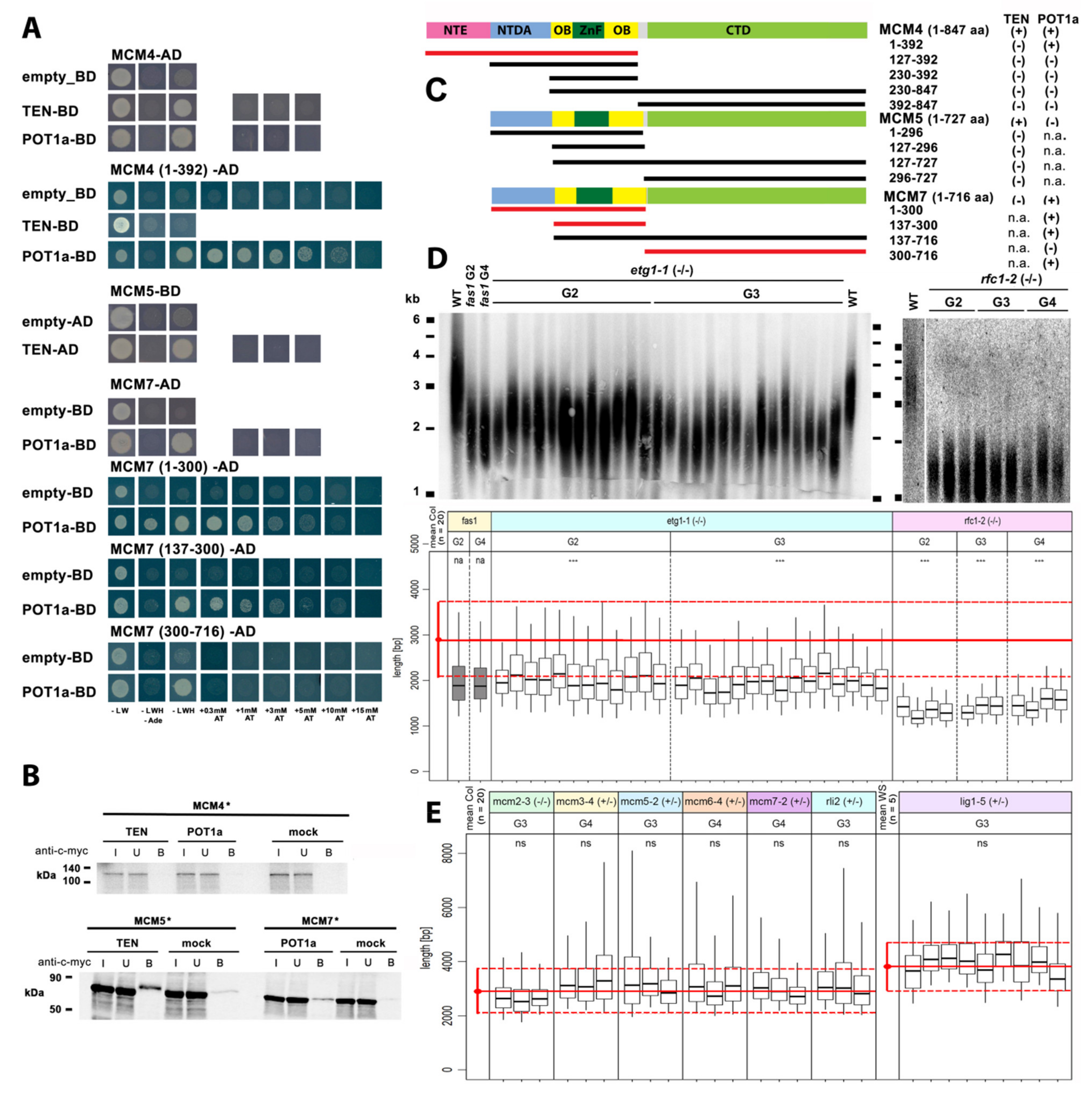 Ijms 23 00368 g003 Ijms 23 00368 g003