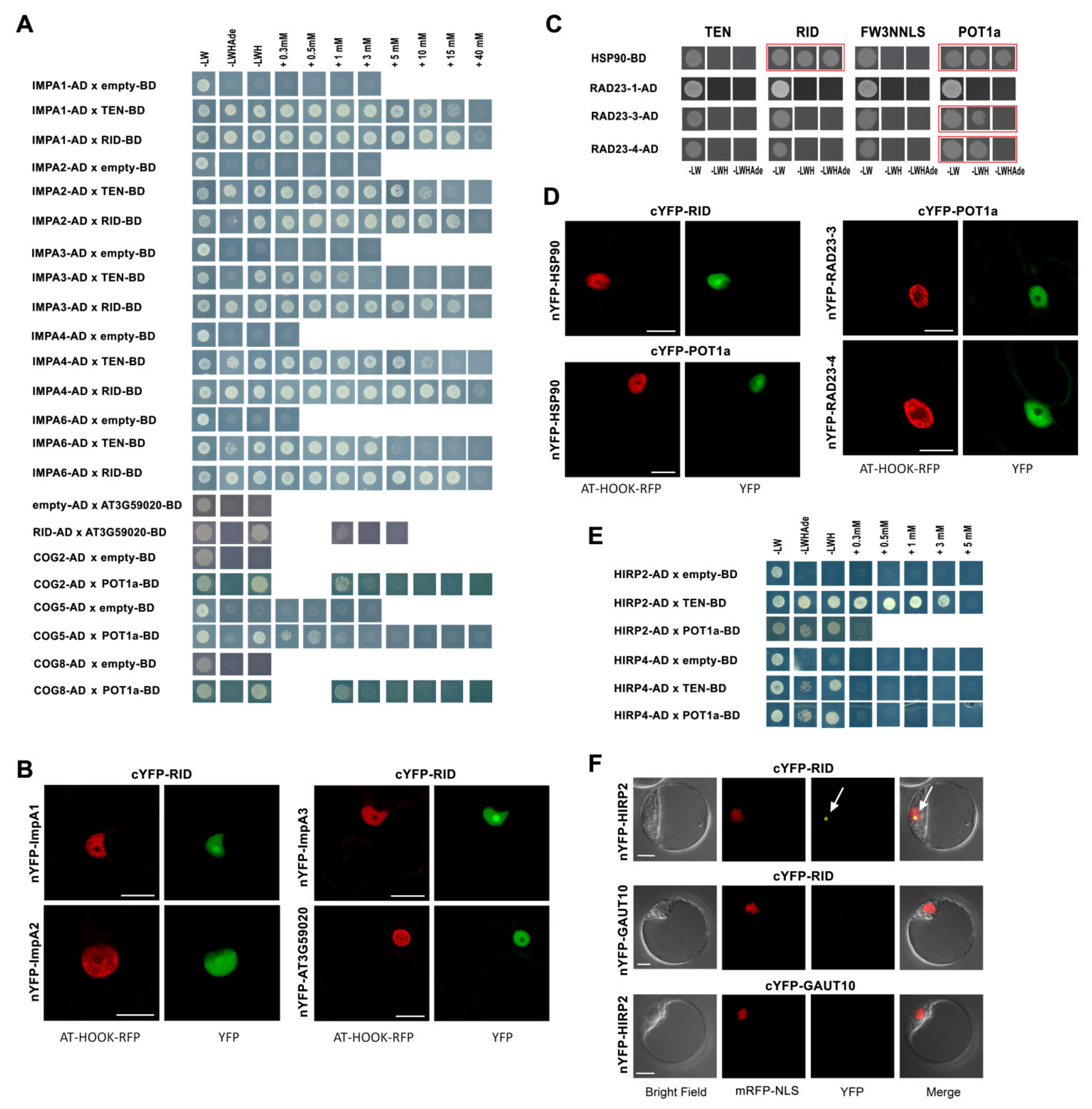 Ijms 23 00368 g005 Ijms 23 00368 g005