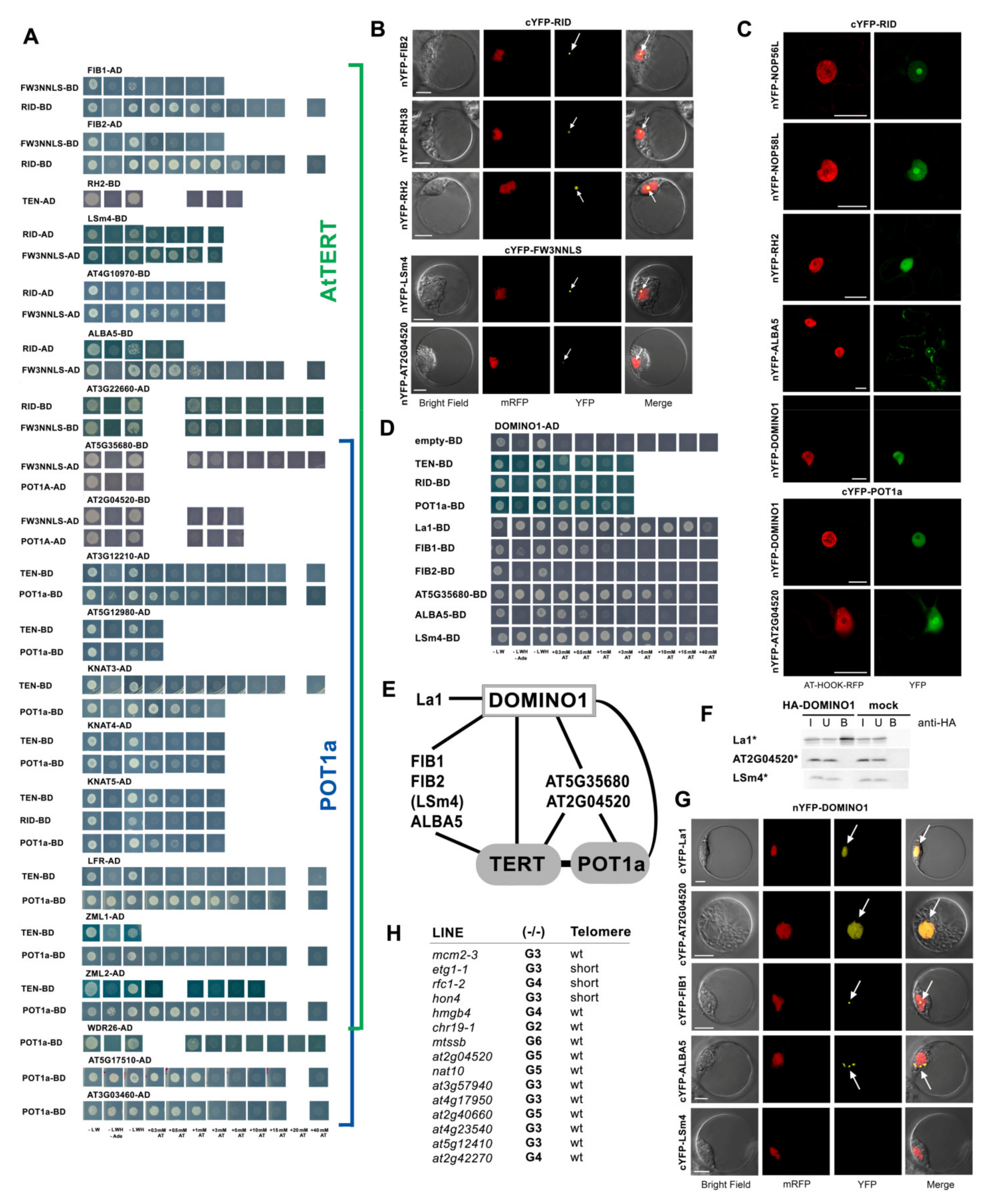 Ijms 23 00368 g006 Ijms 23 00368 g006